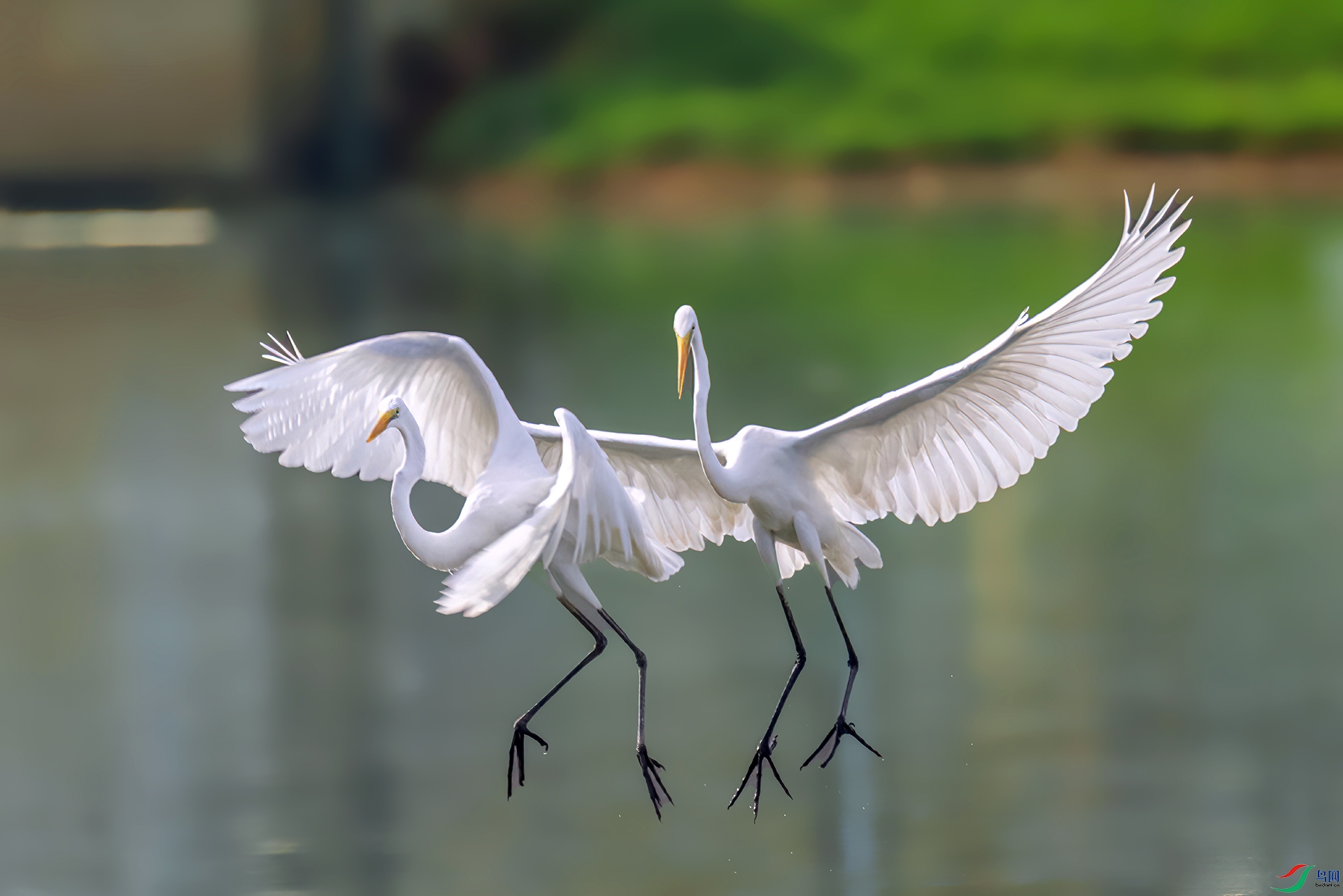 407A1205 ����-Sh---1 .jpg