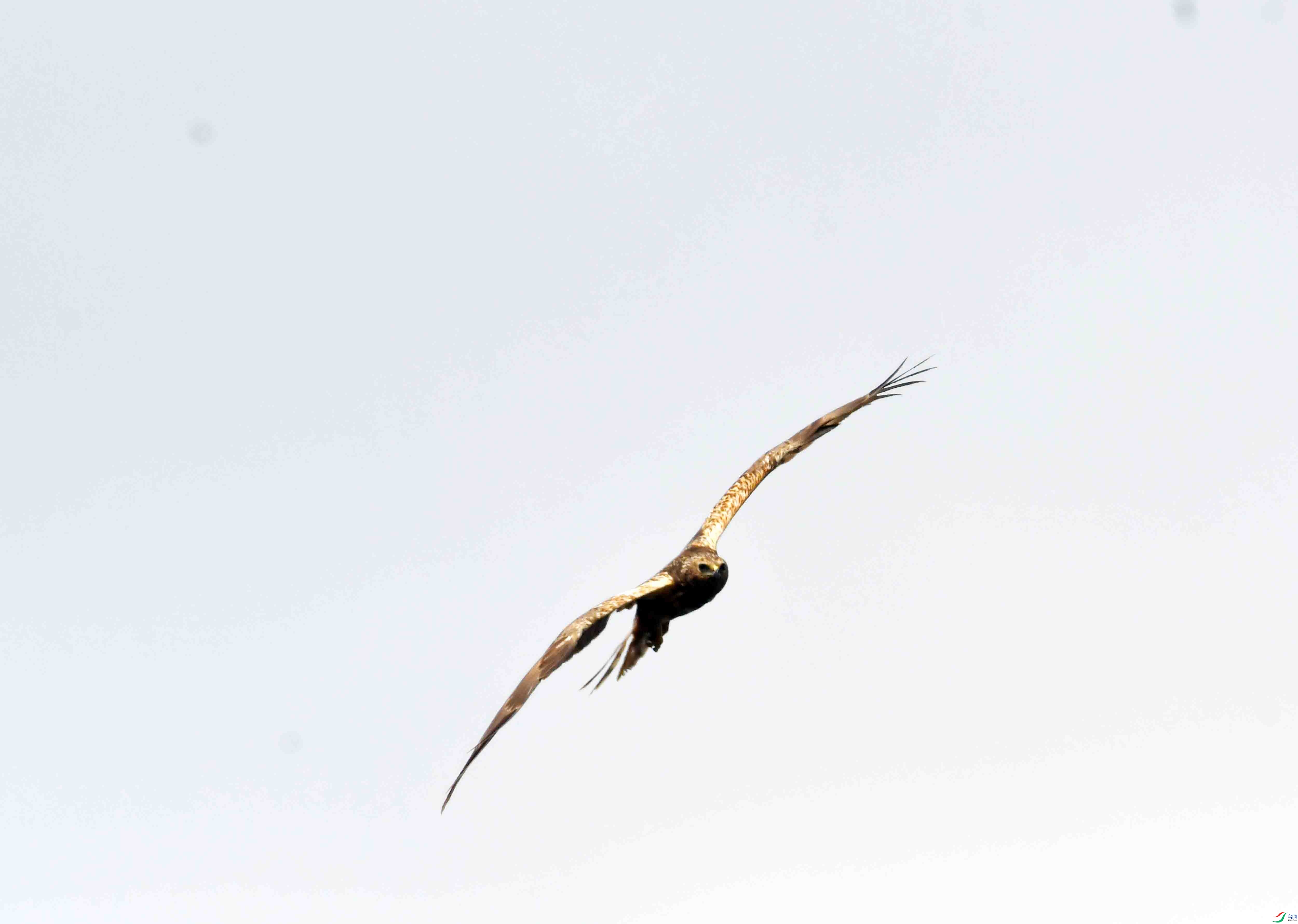 DSC_0015.JPG