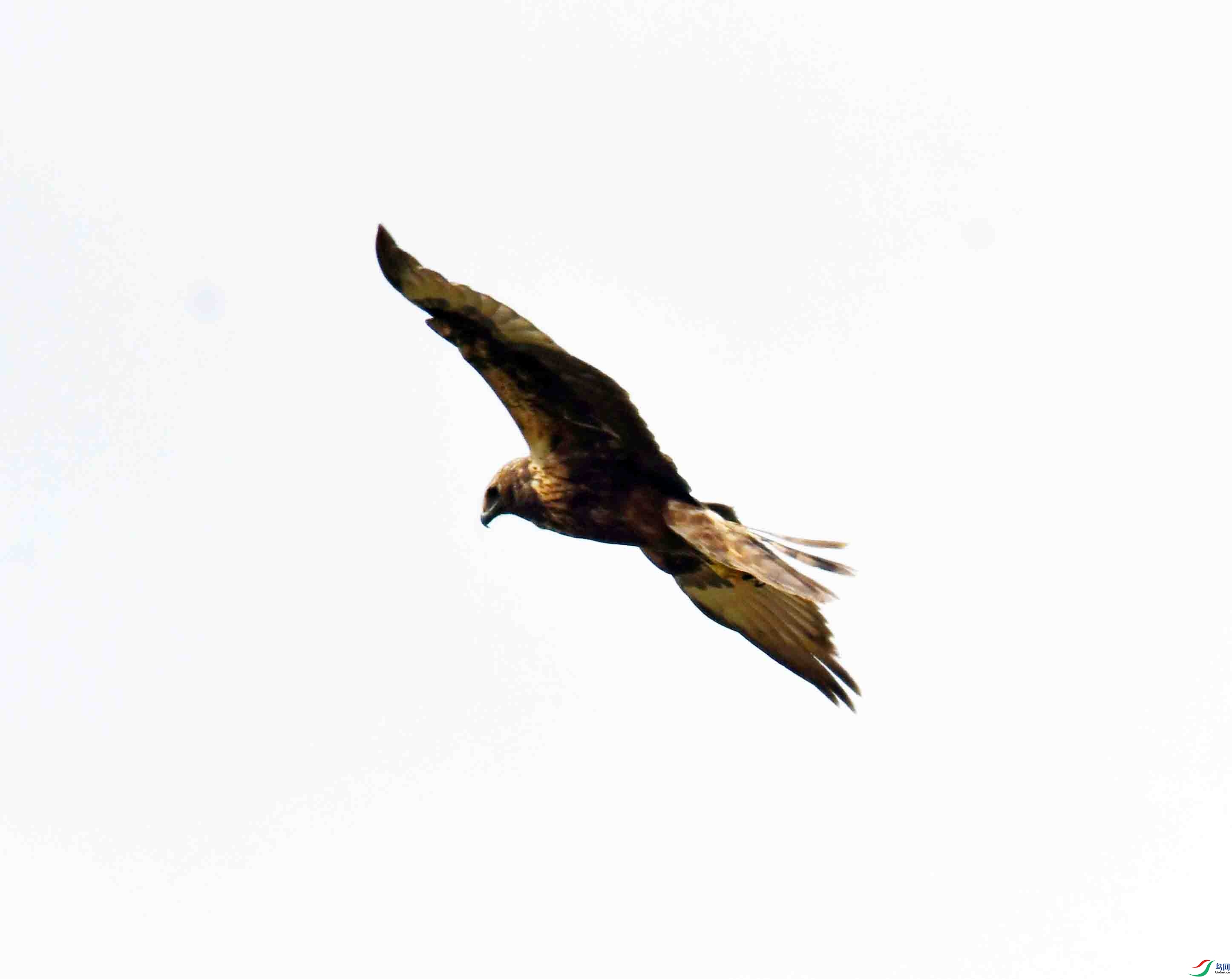 DSC_0029.JPG