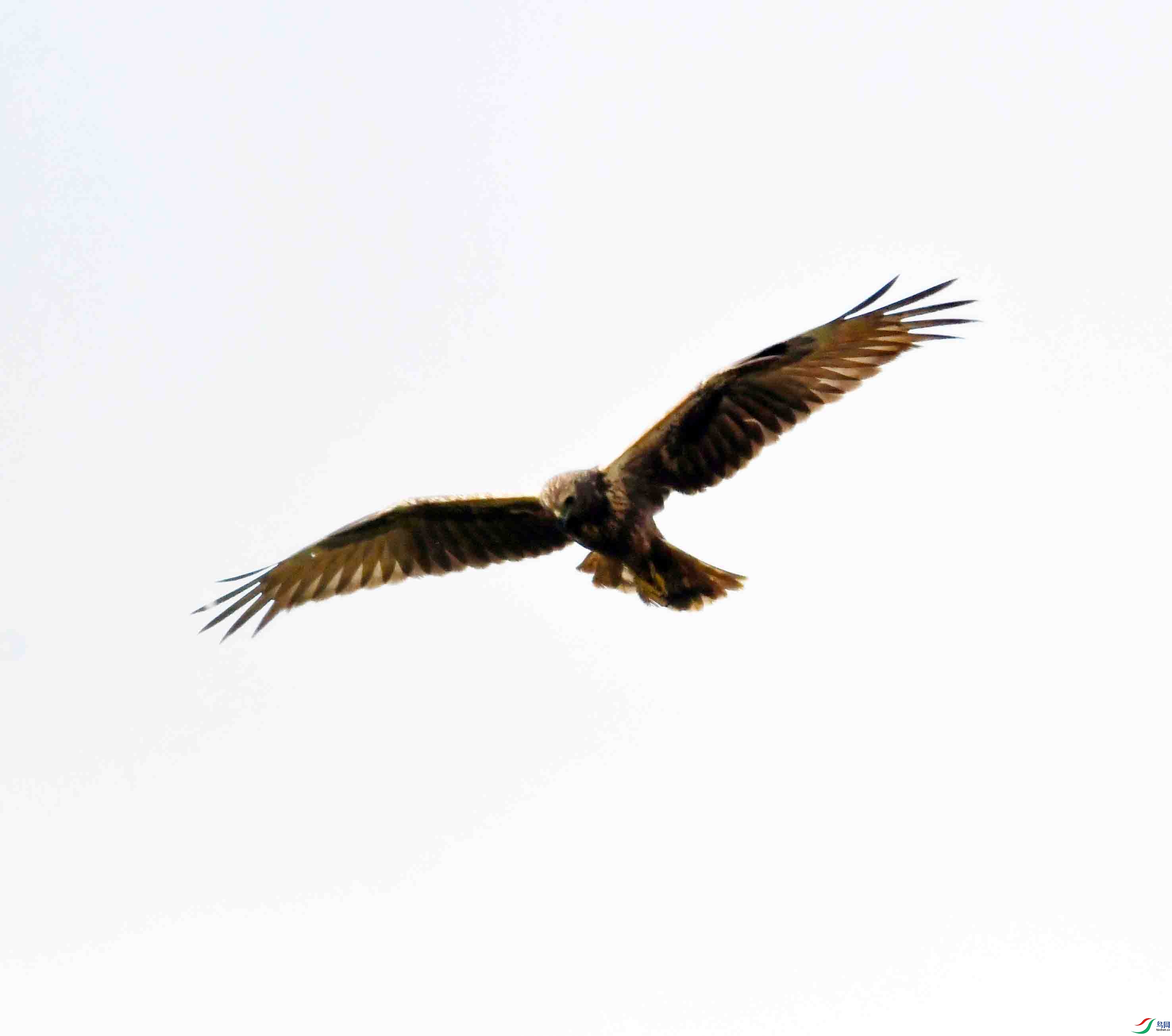 DSC_0041.JPG