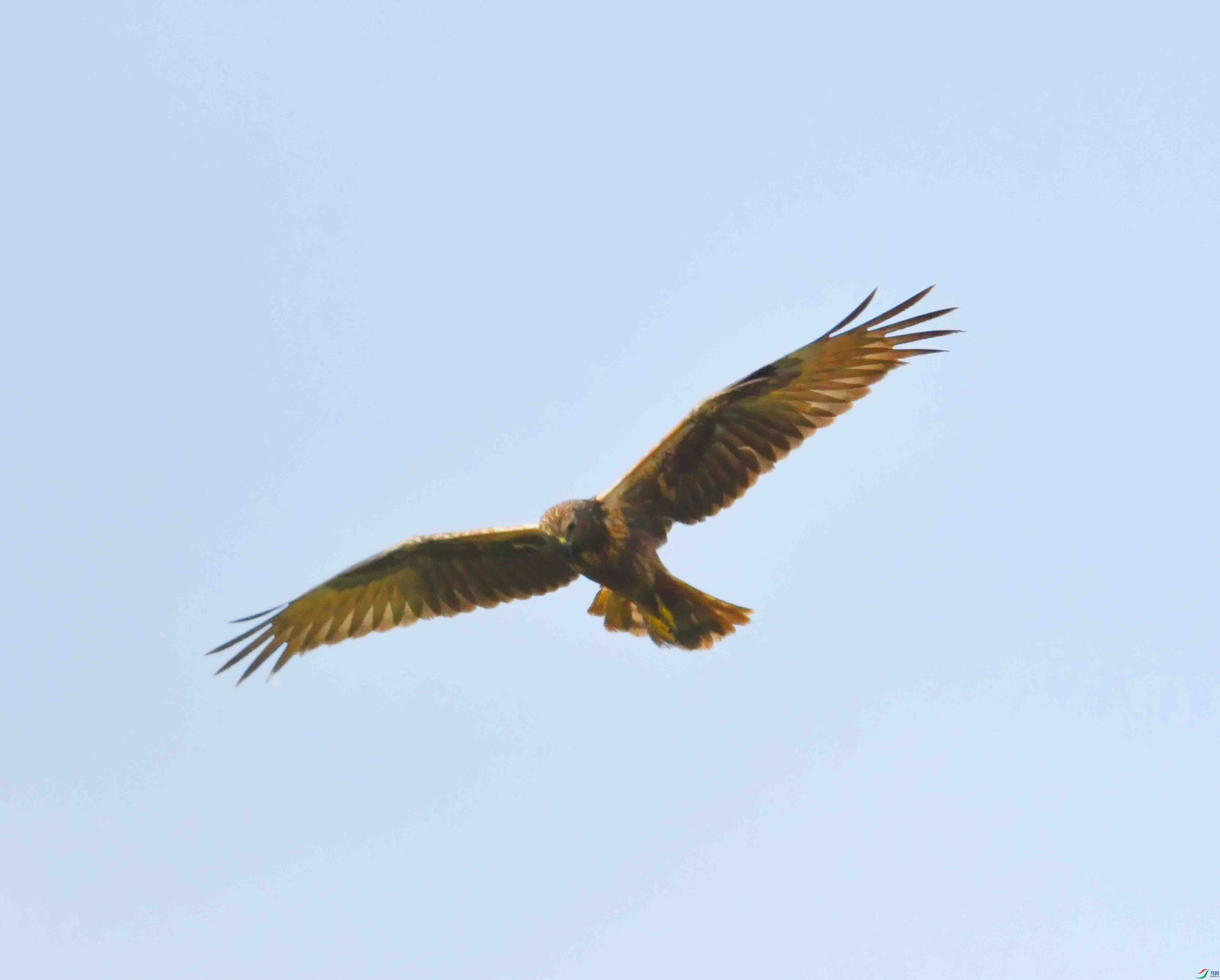DSC_0042.JPG
