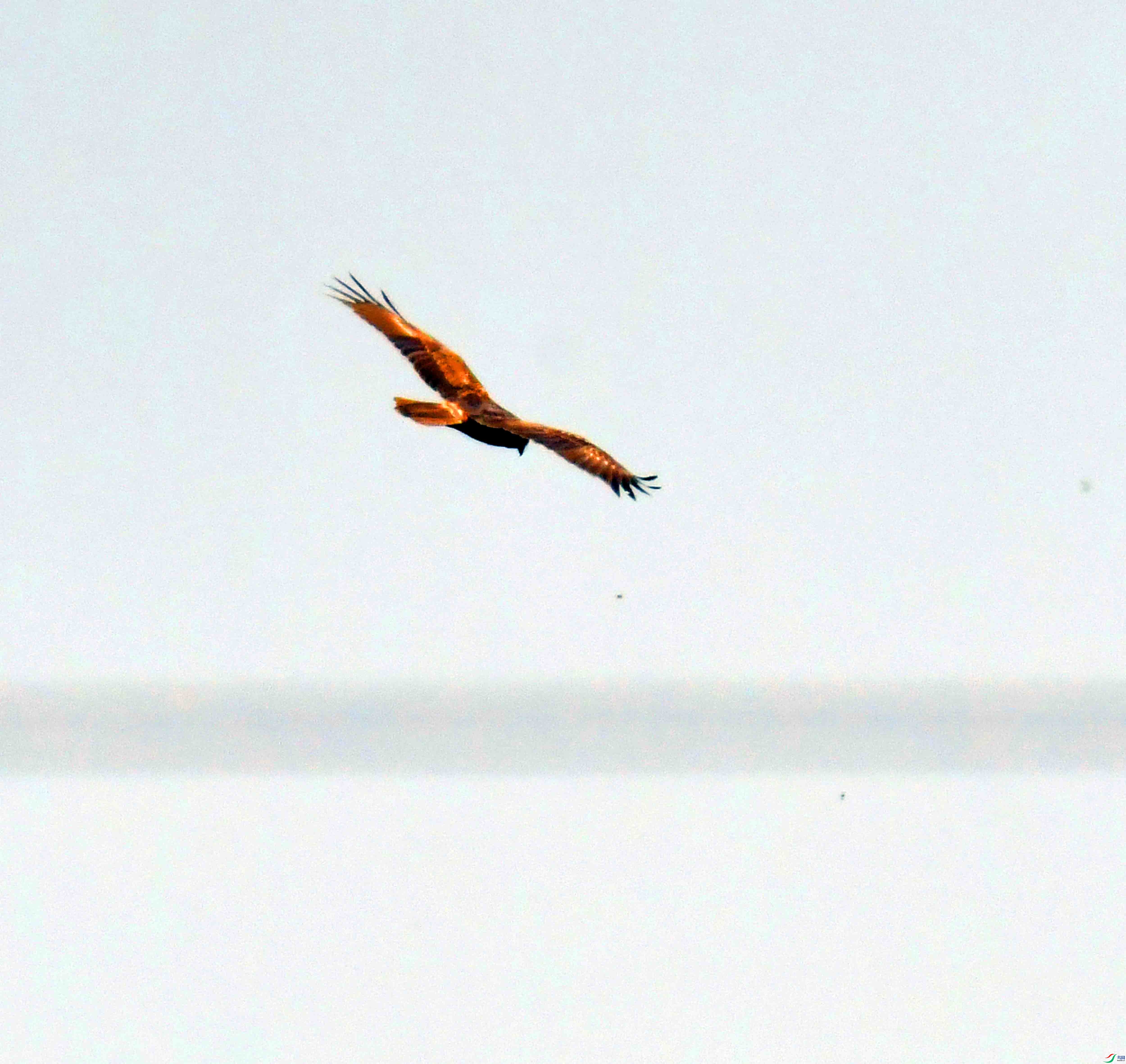 DSC_0415.JPG