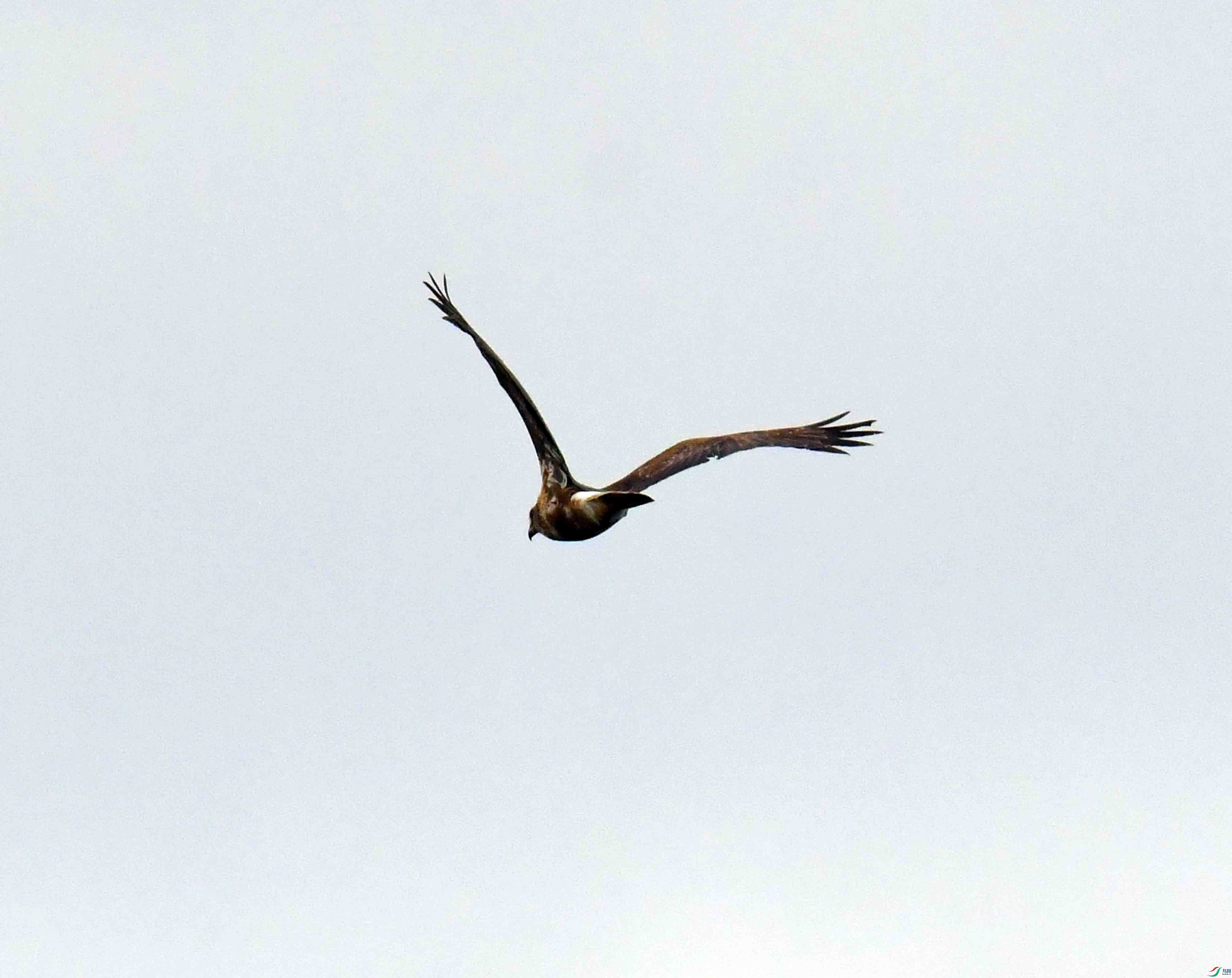 DSC_1880.JPG