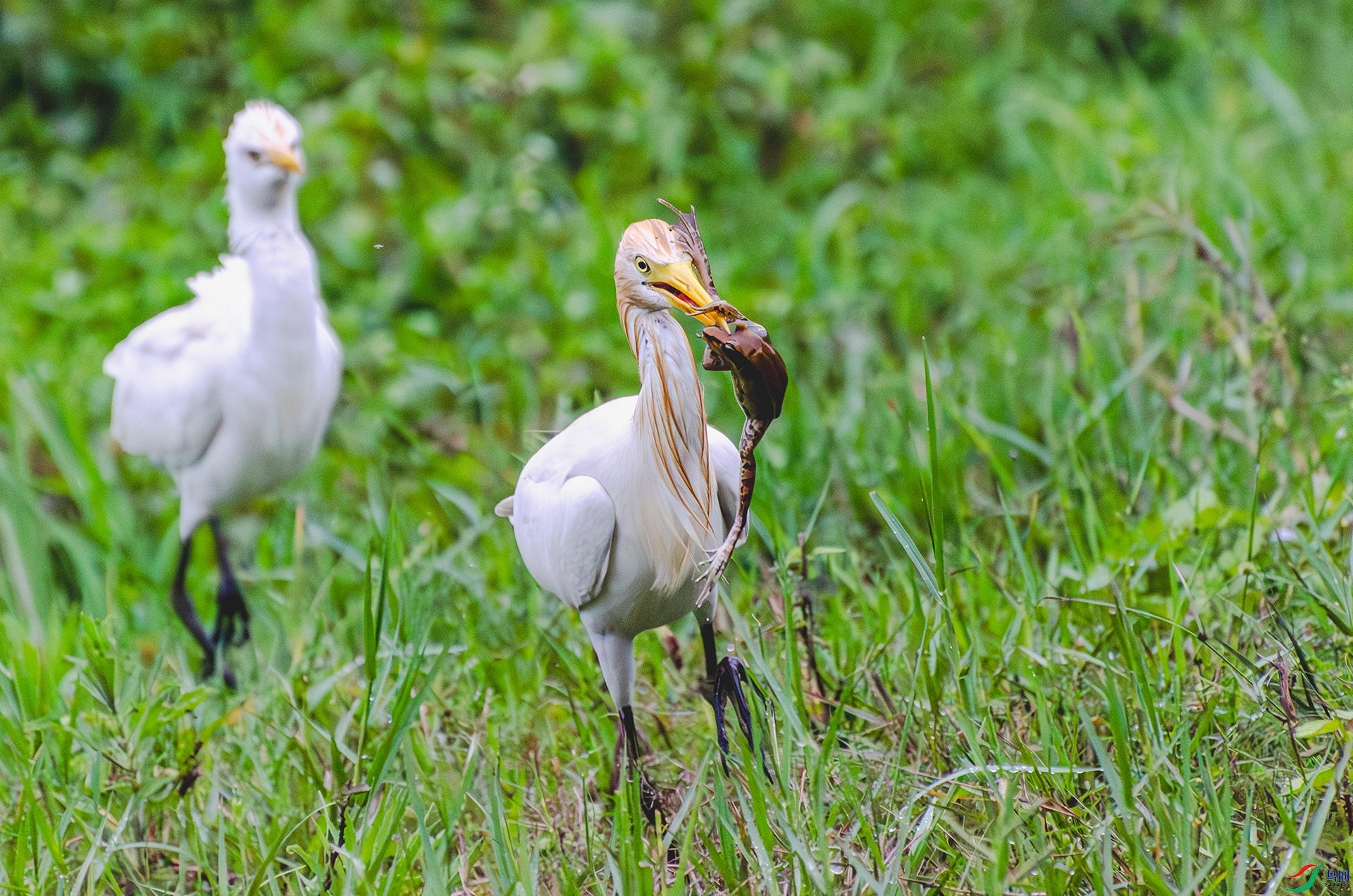 20240815-�ջ� .jpg