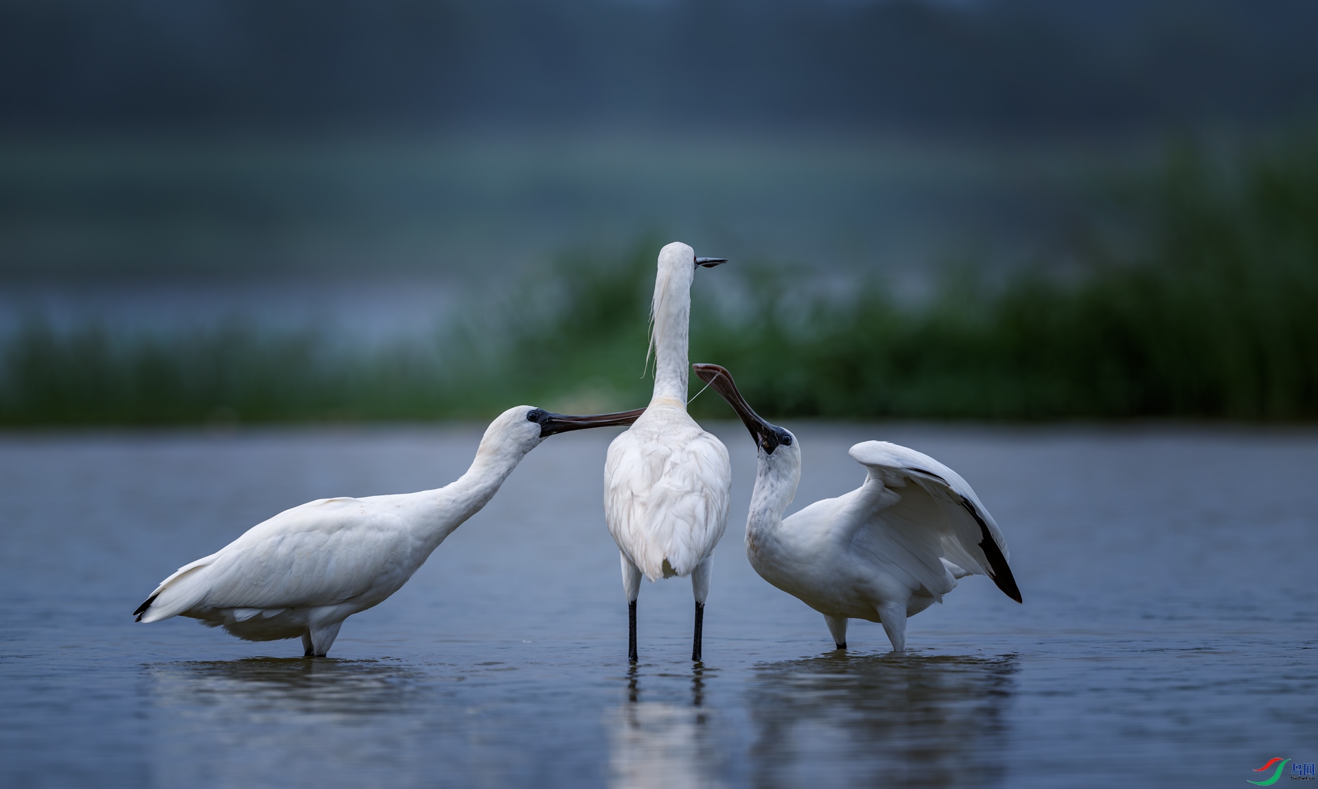 ����֮��