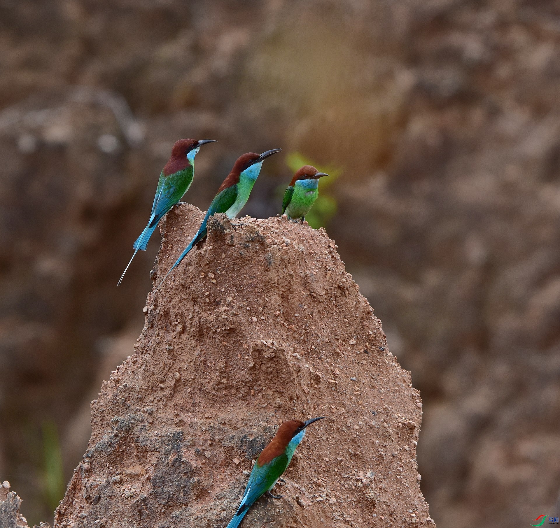 D8I_2094.jpg