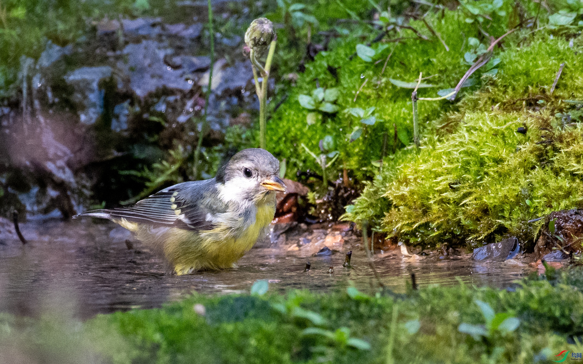 DSC_1782.jpg