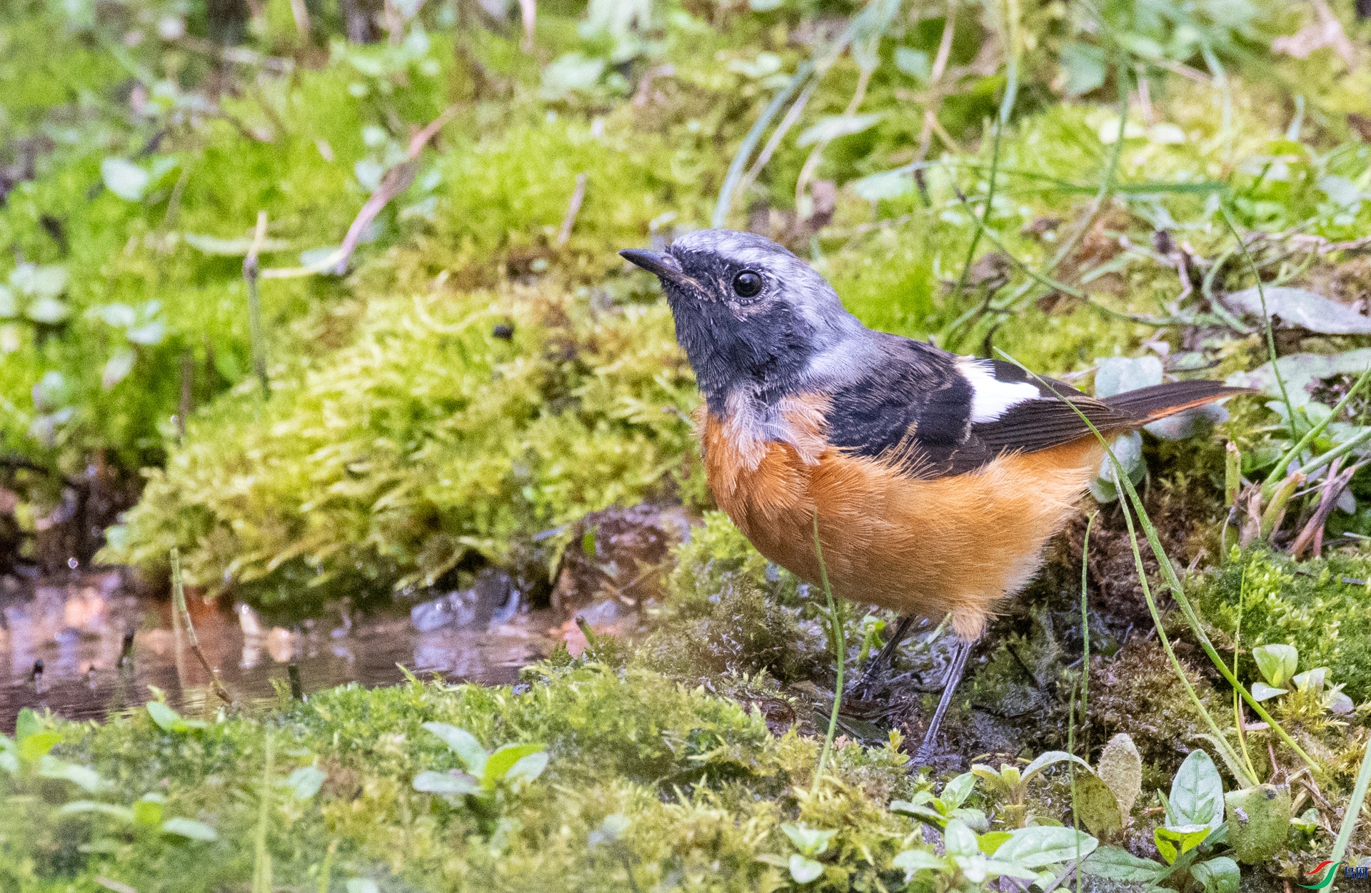 DSC_1977.jpg