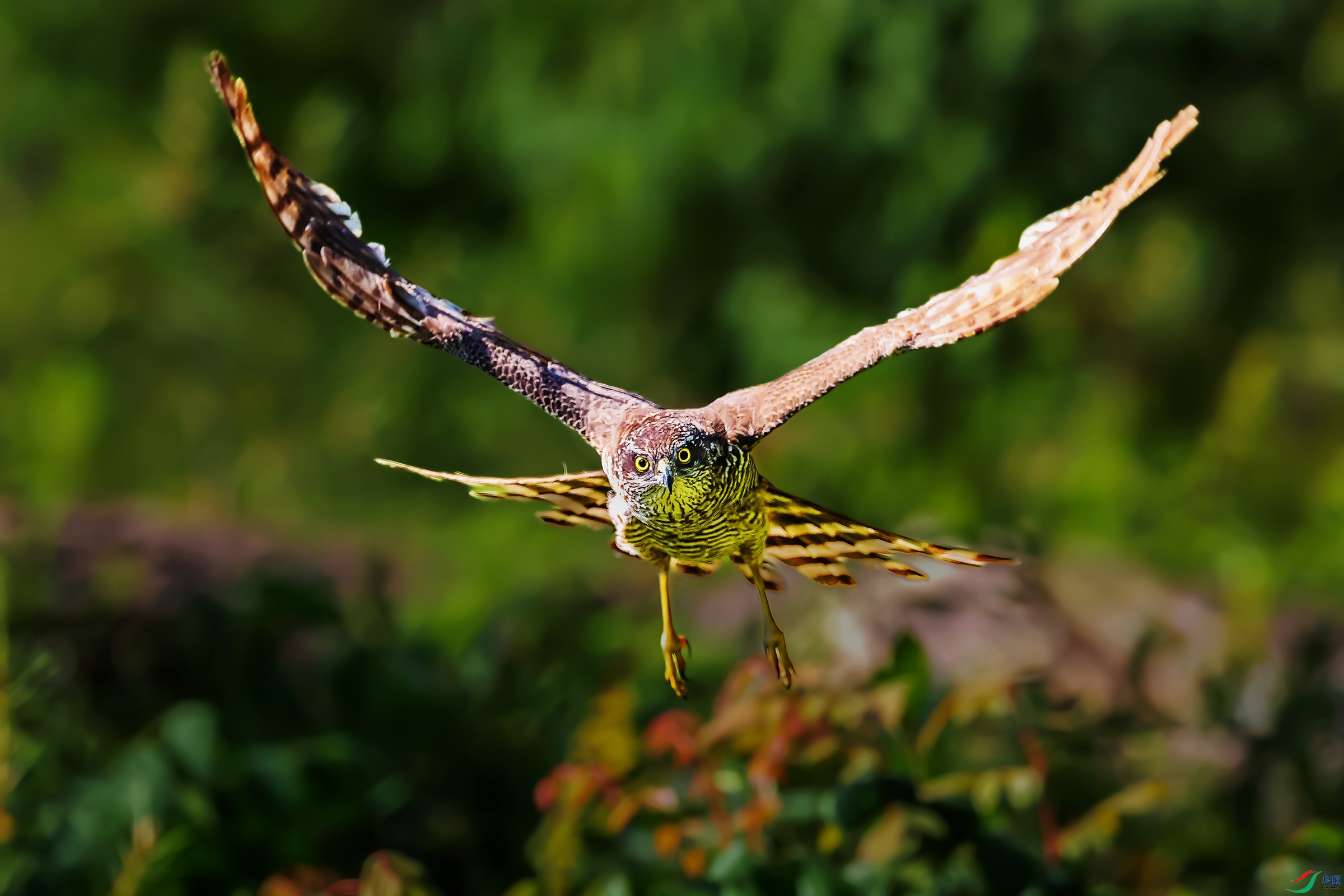 A56I6480 ����2.jpg