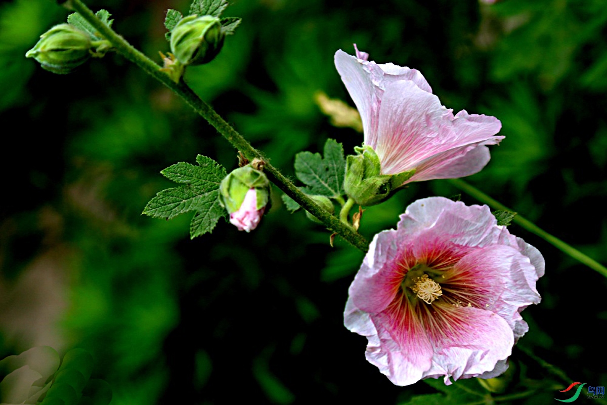 IMG_6513.jpg