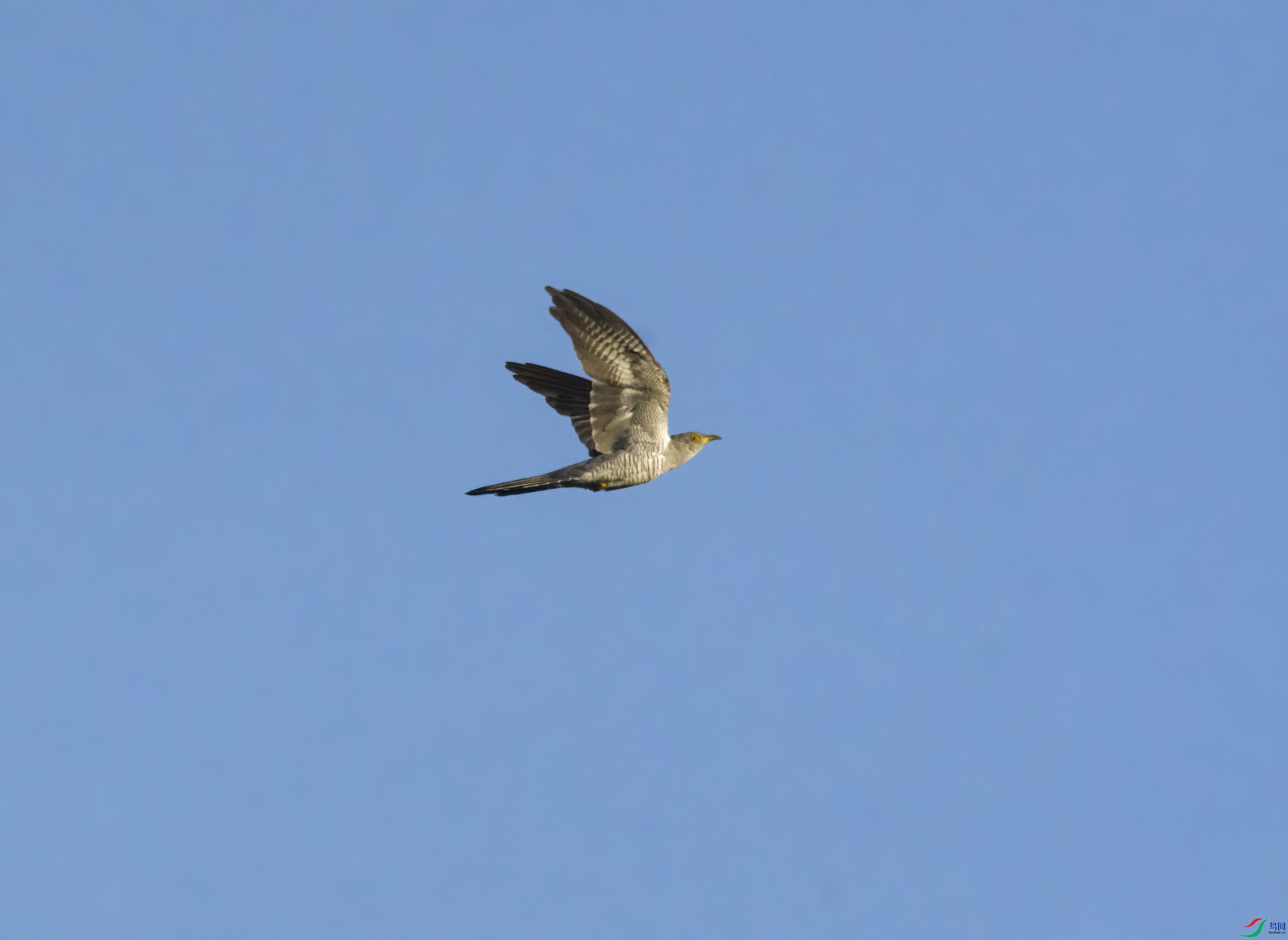 DSC_4846.jpg