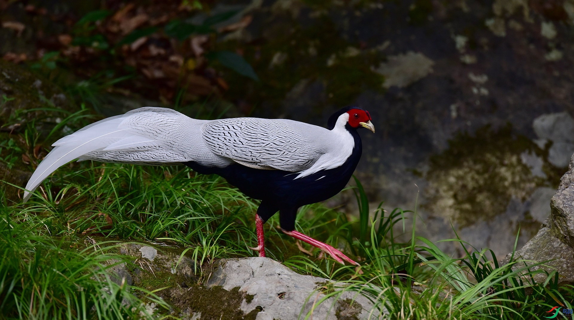 D8I_1340.jpg
