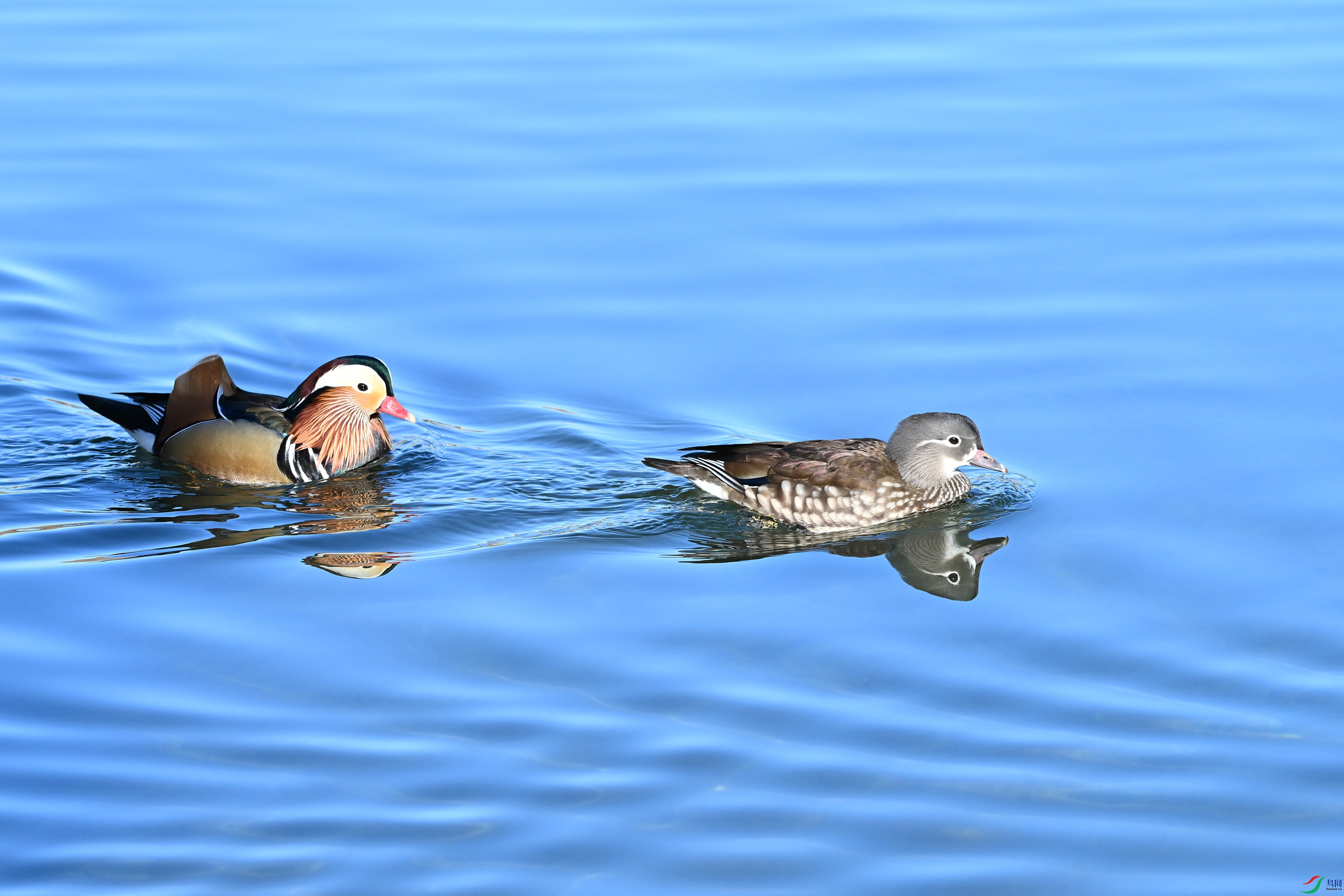 DSC_6408.JPG