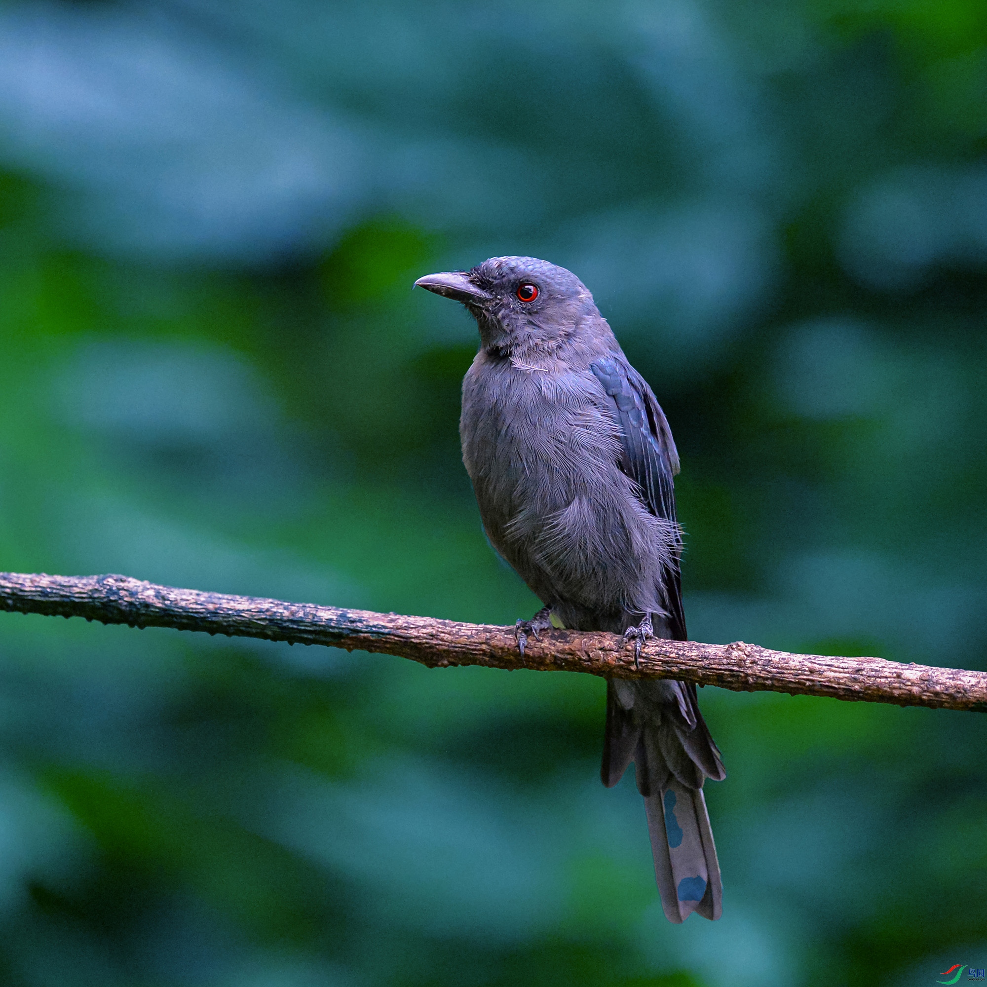 DSC_1563.jpg