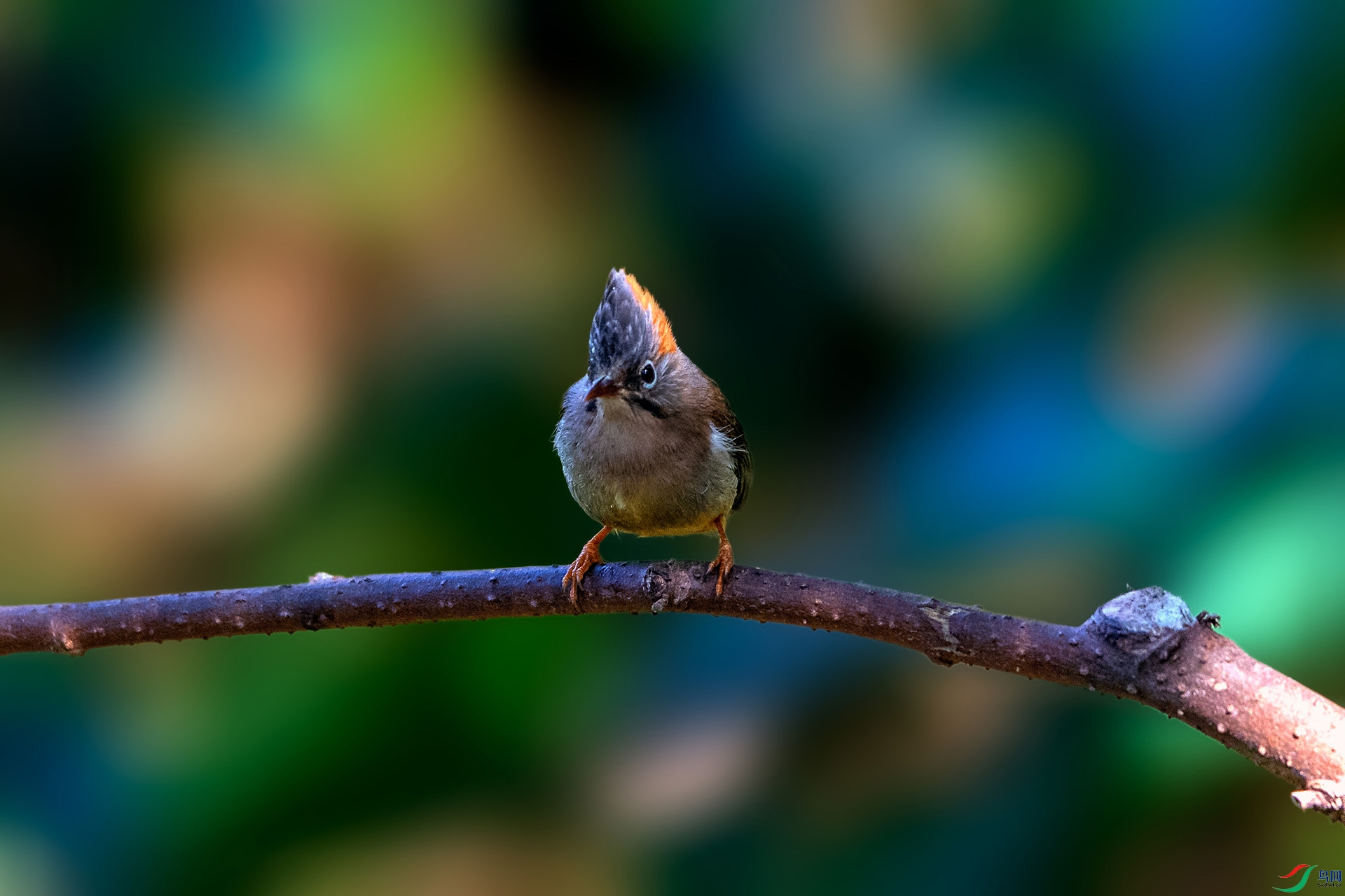_AUU4105���η���(24.2.17).jpg