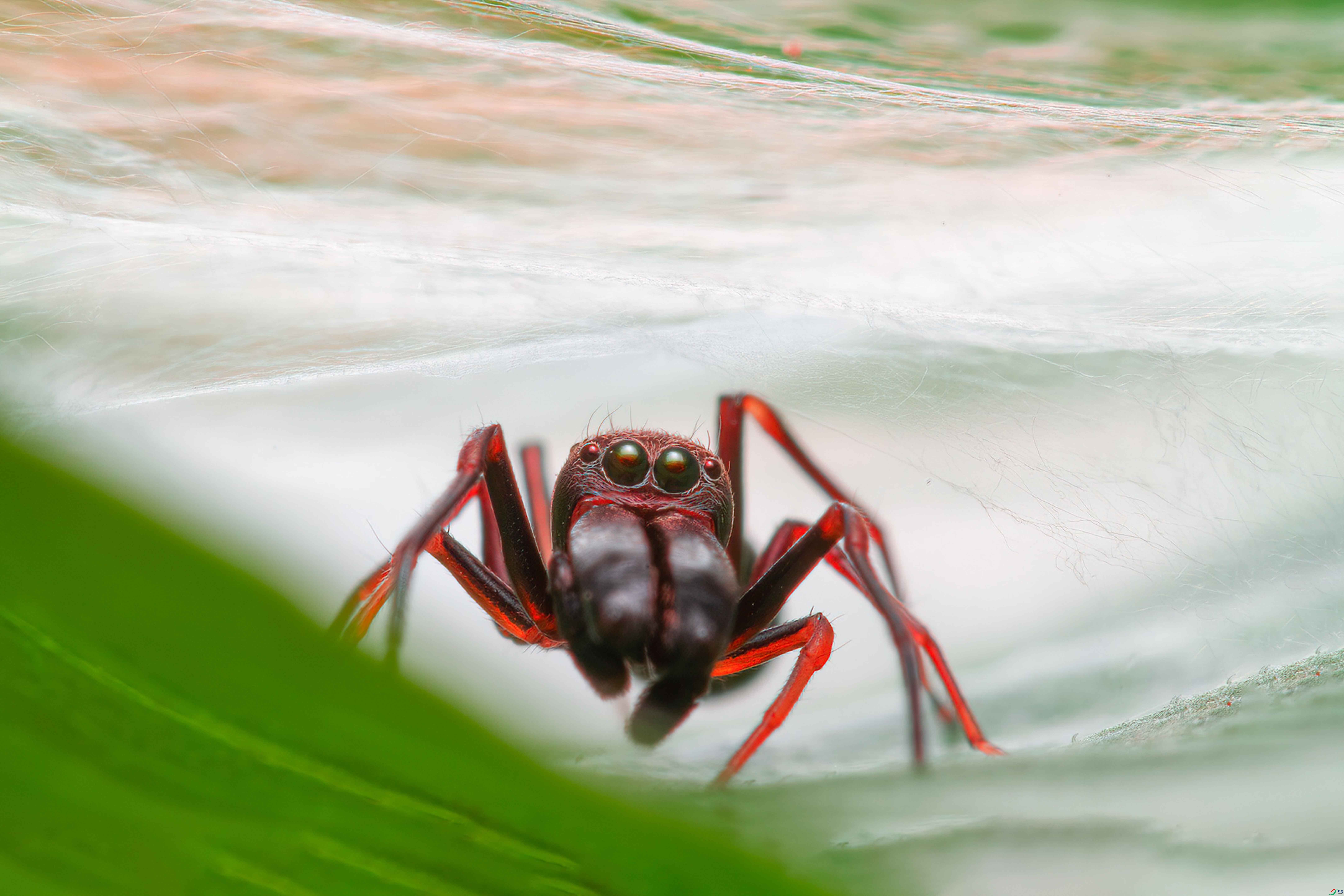 mmexport1622950066209 ����.jpg