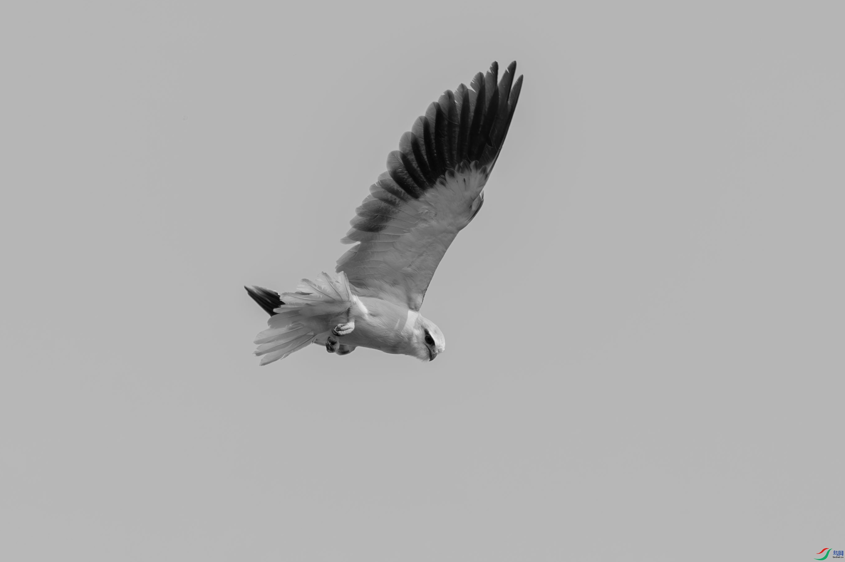 DSC_8836.jpg