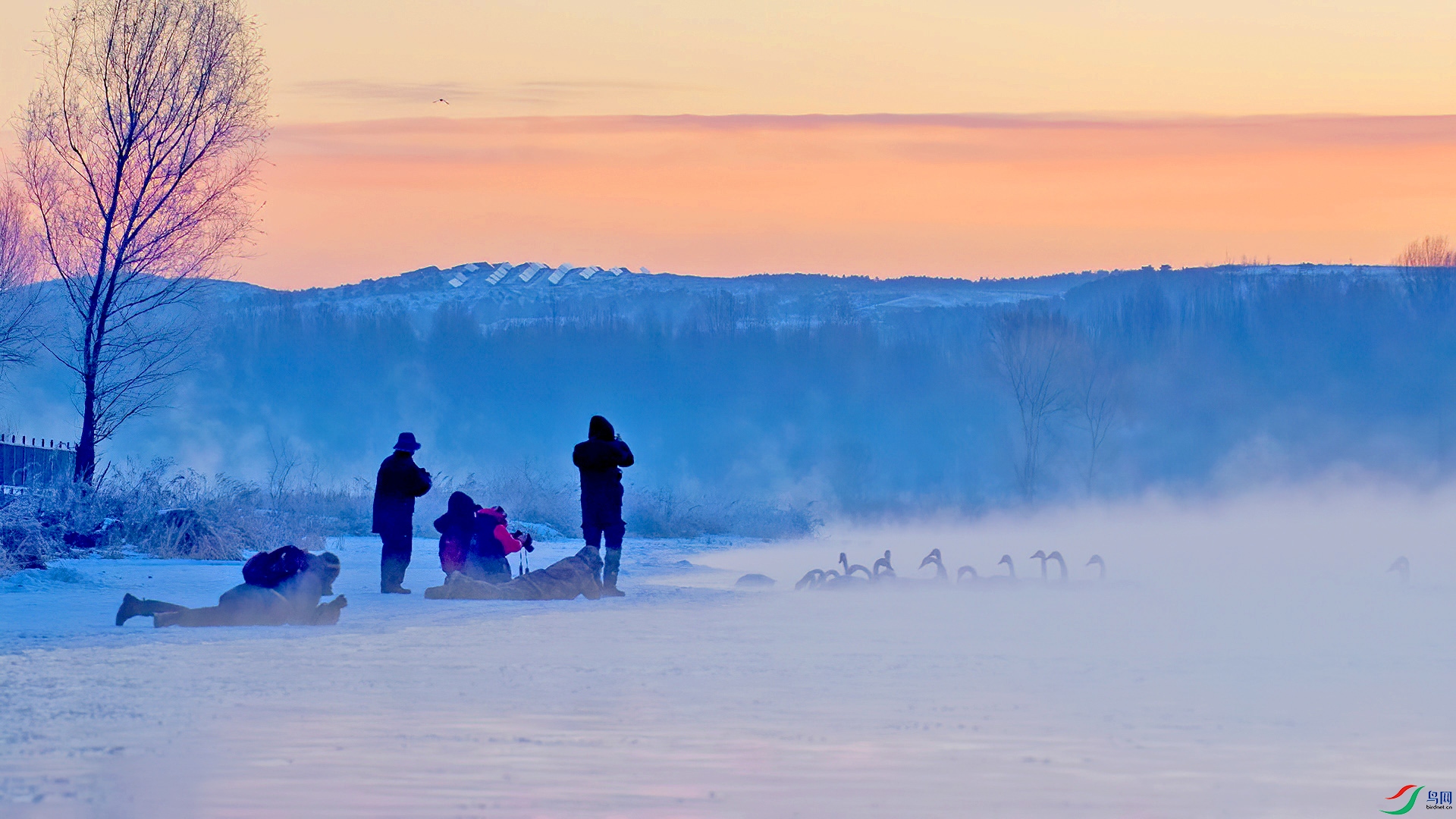 DSC_00m05.jpg