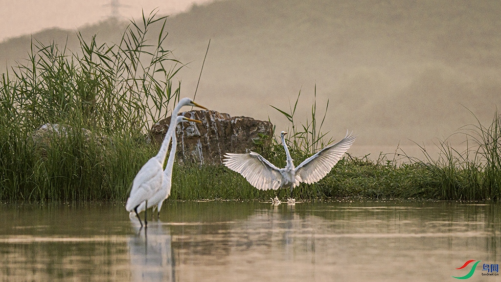 _DSC0387 ����.jpg