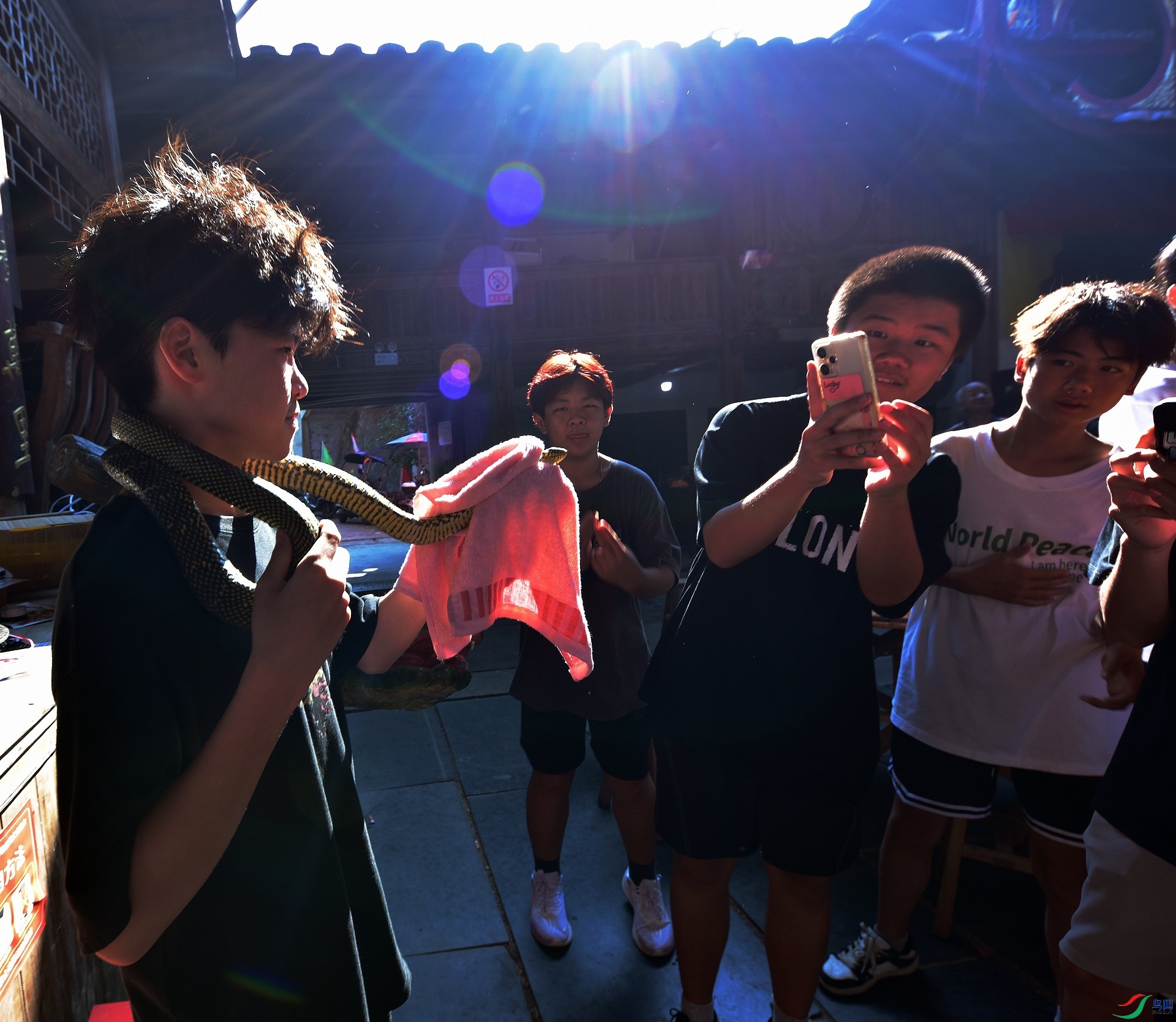 D8I_4480.jpg