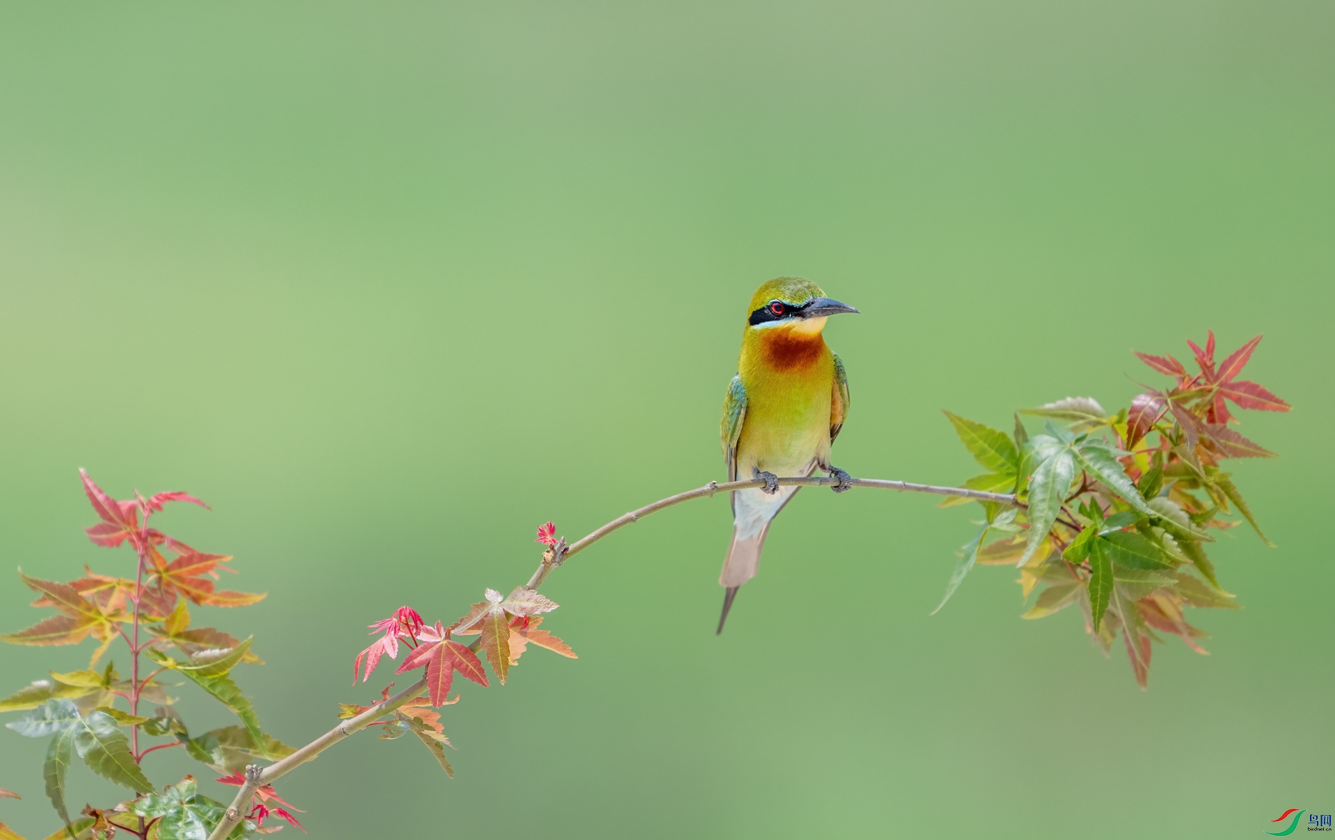 DSC_8974-1.jpg