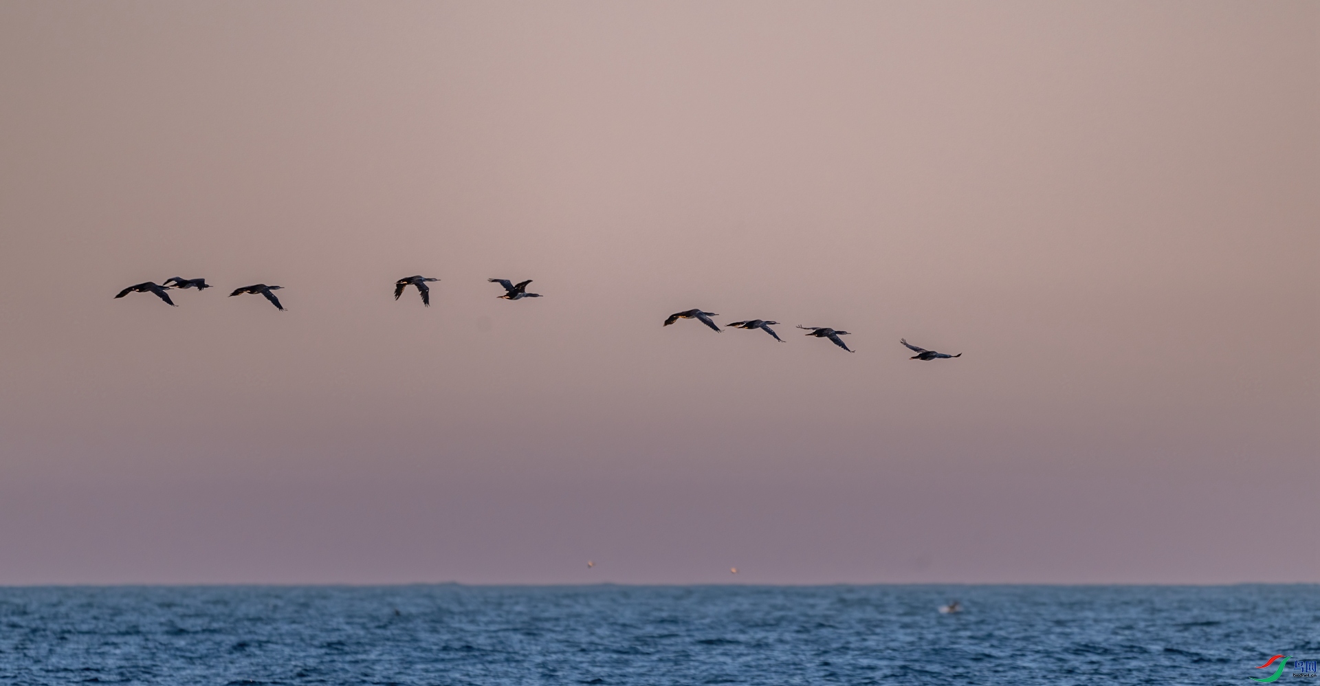 DSC_6077.jpg