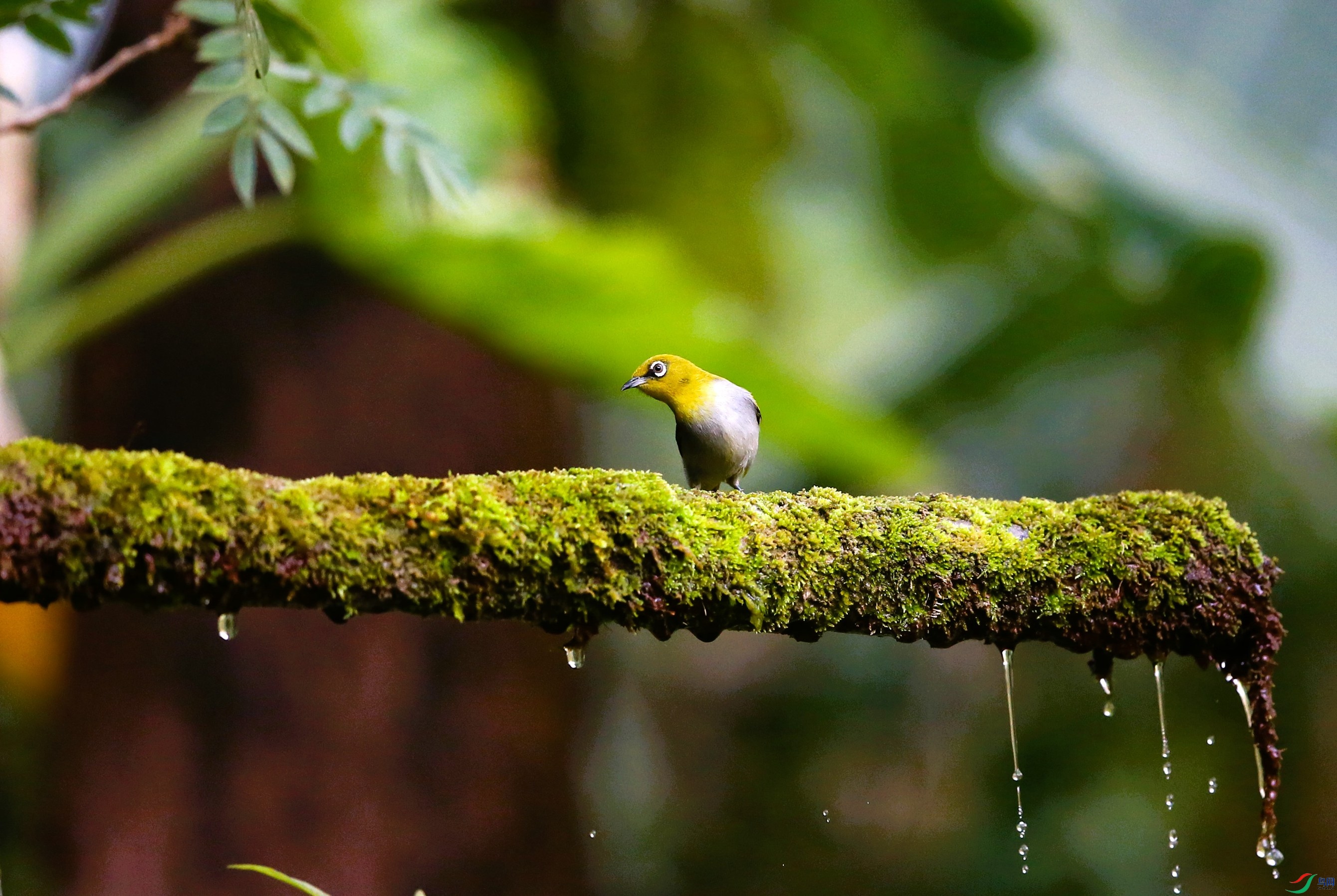 �Ҹ������� (6).JPG