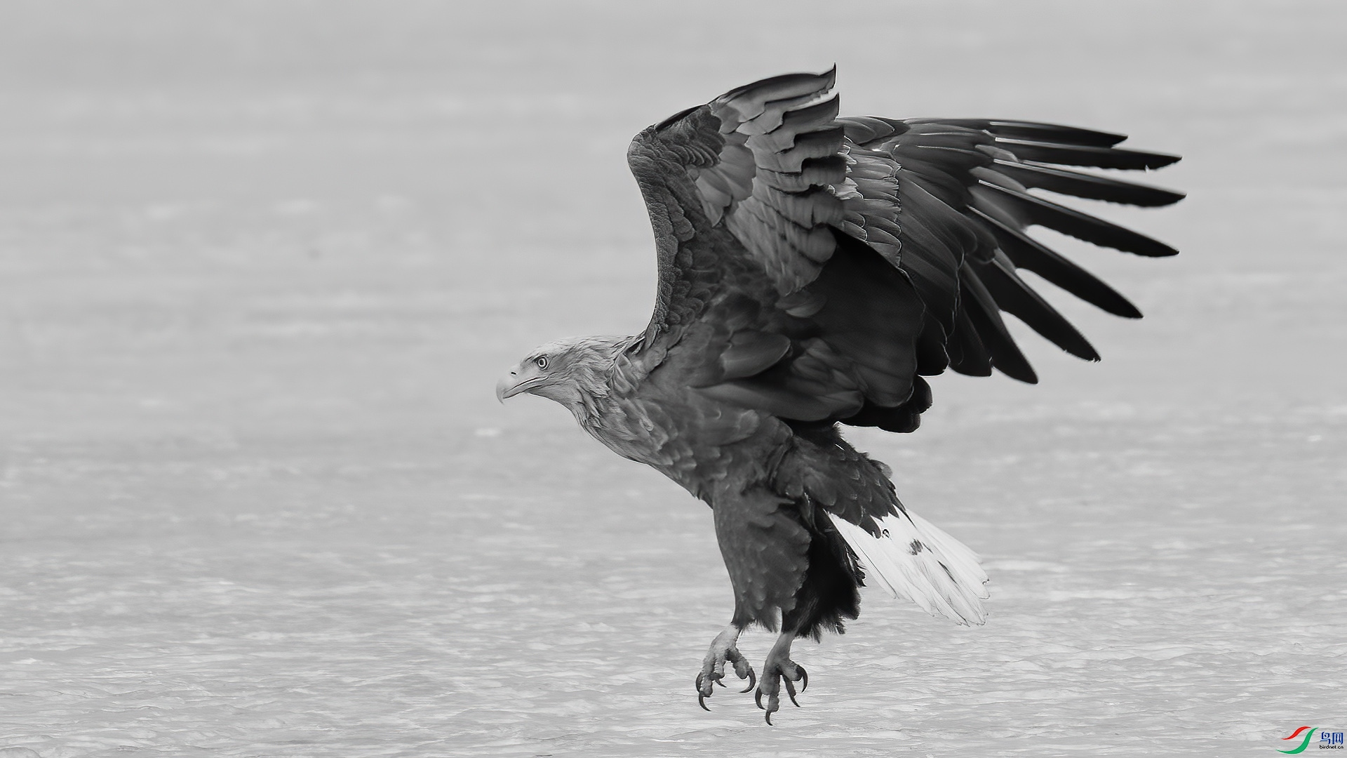 DSC06856 ����.jpg