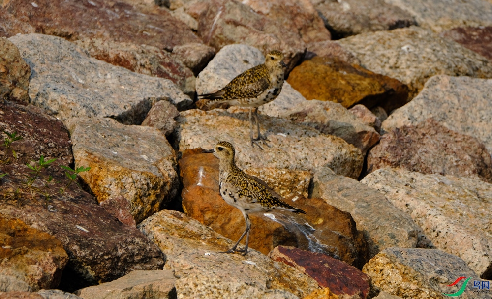 DSCF2566.1.jpg