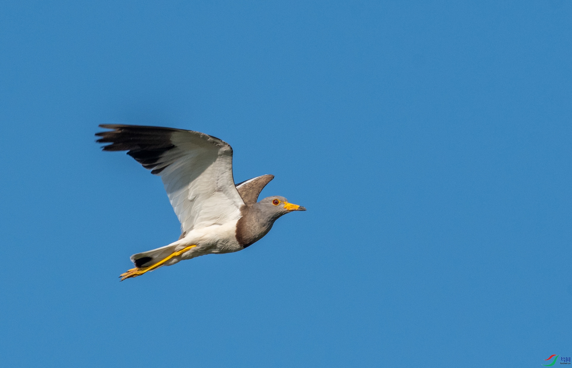 DSC_3260.jpg