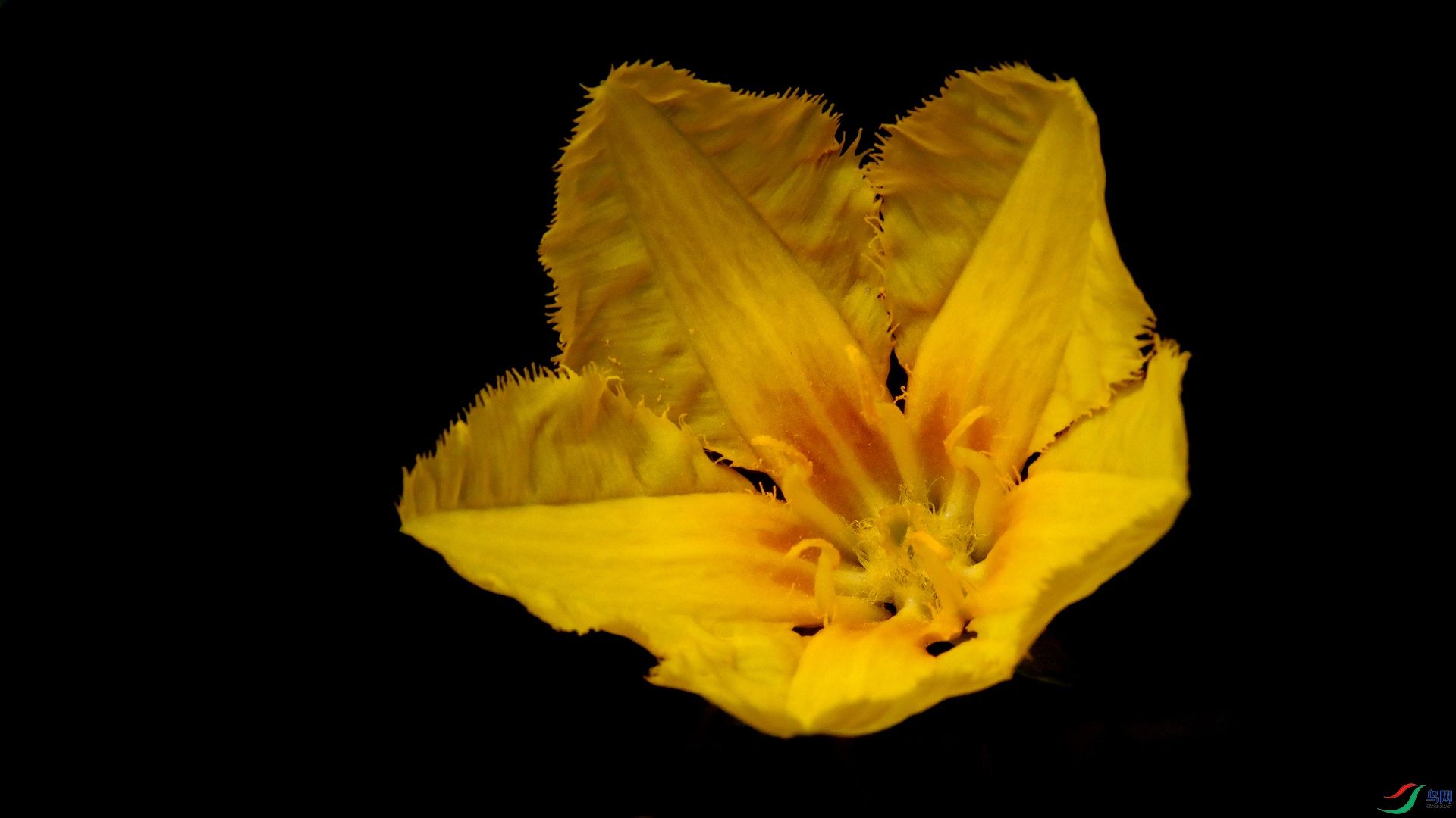 9O2A3493_����.jpg
