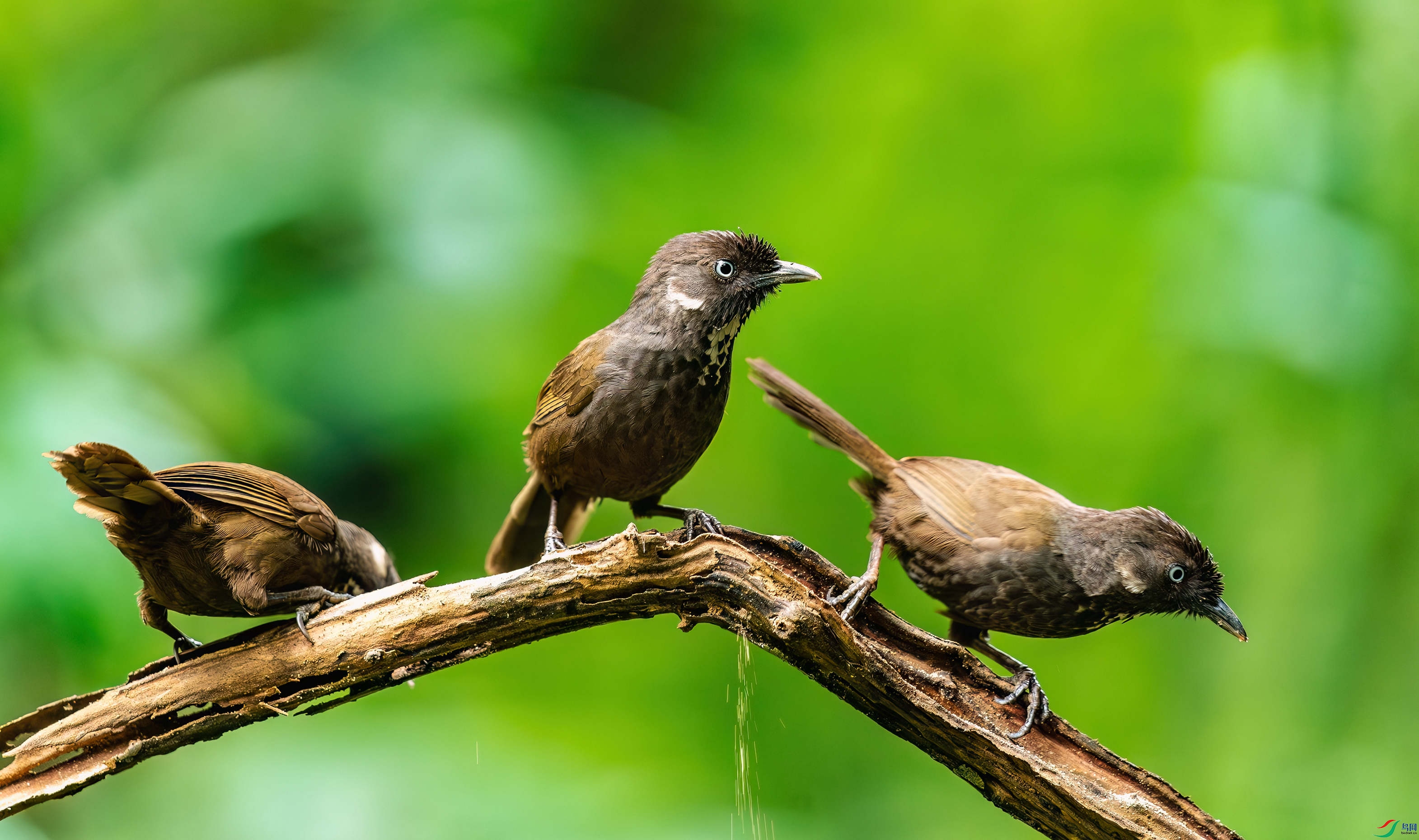 _DSC3482-����ǿ-NR_3 - ���� (2).JPG