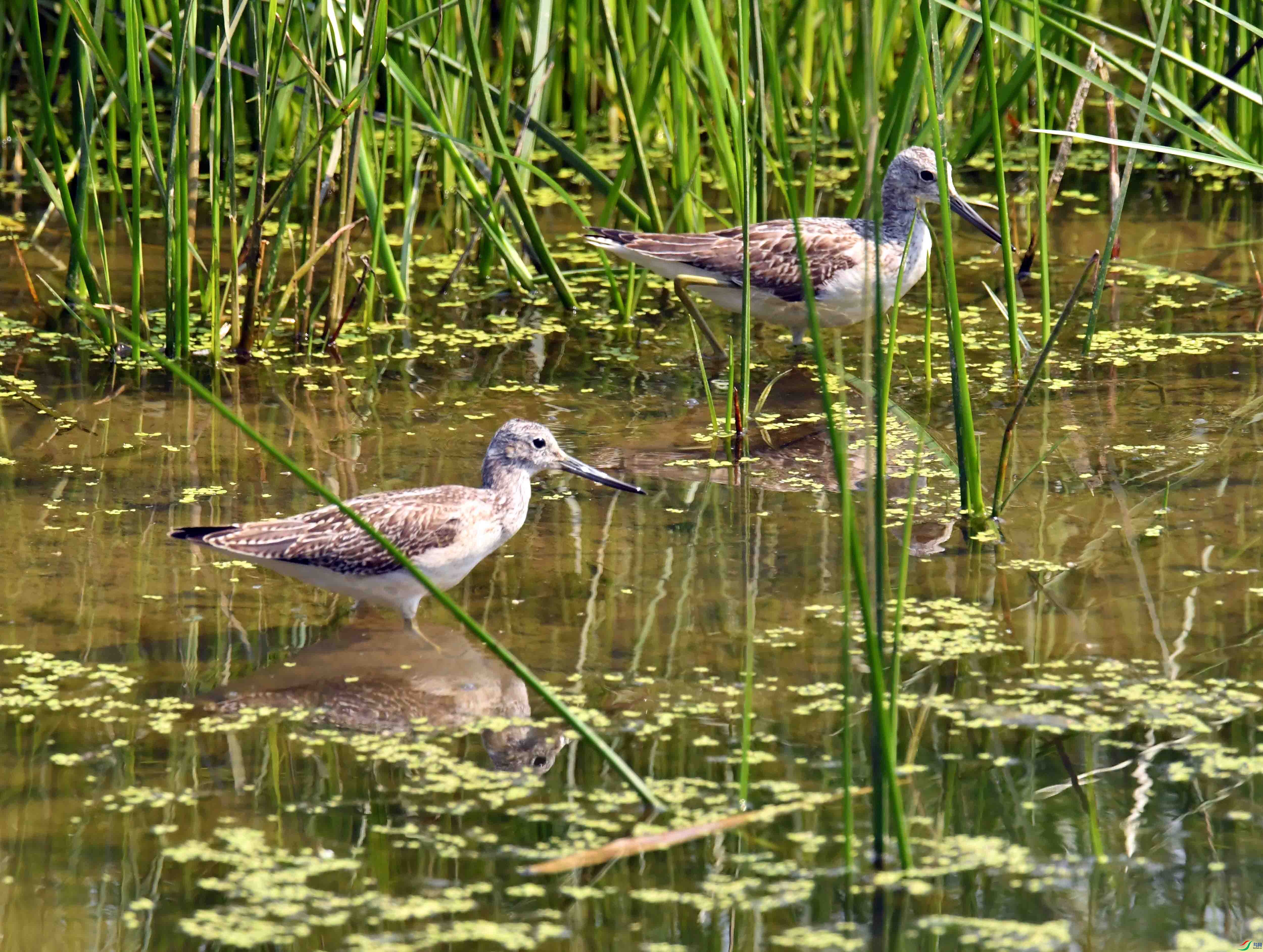 DSC_3544.JPG