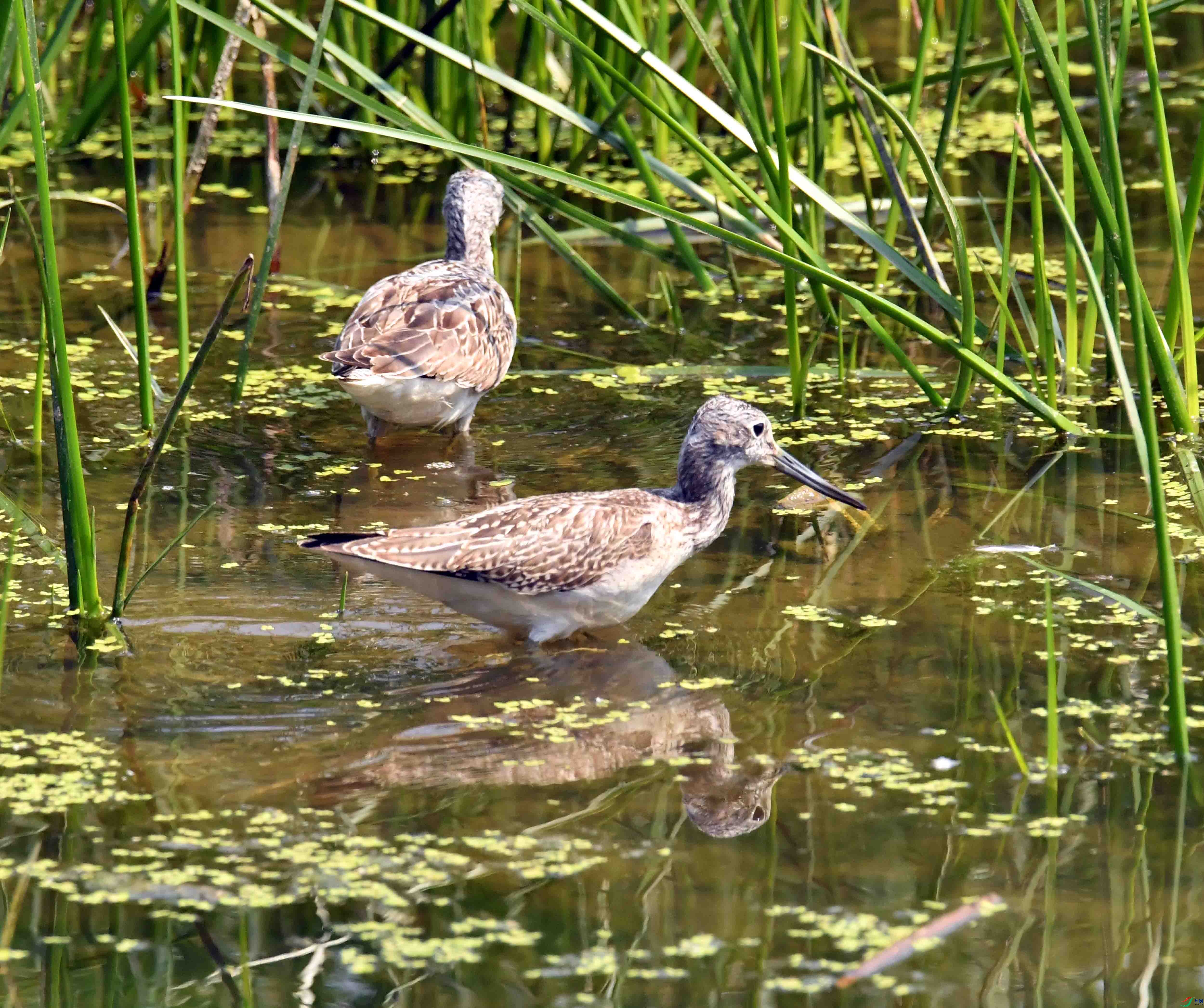 DSC_3545.JPG