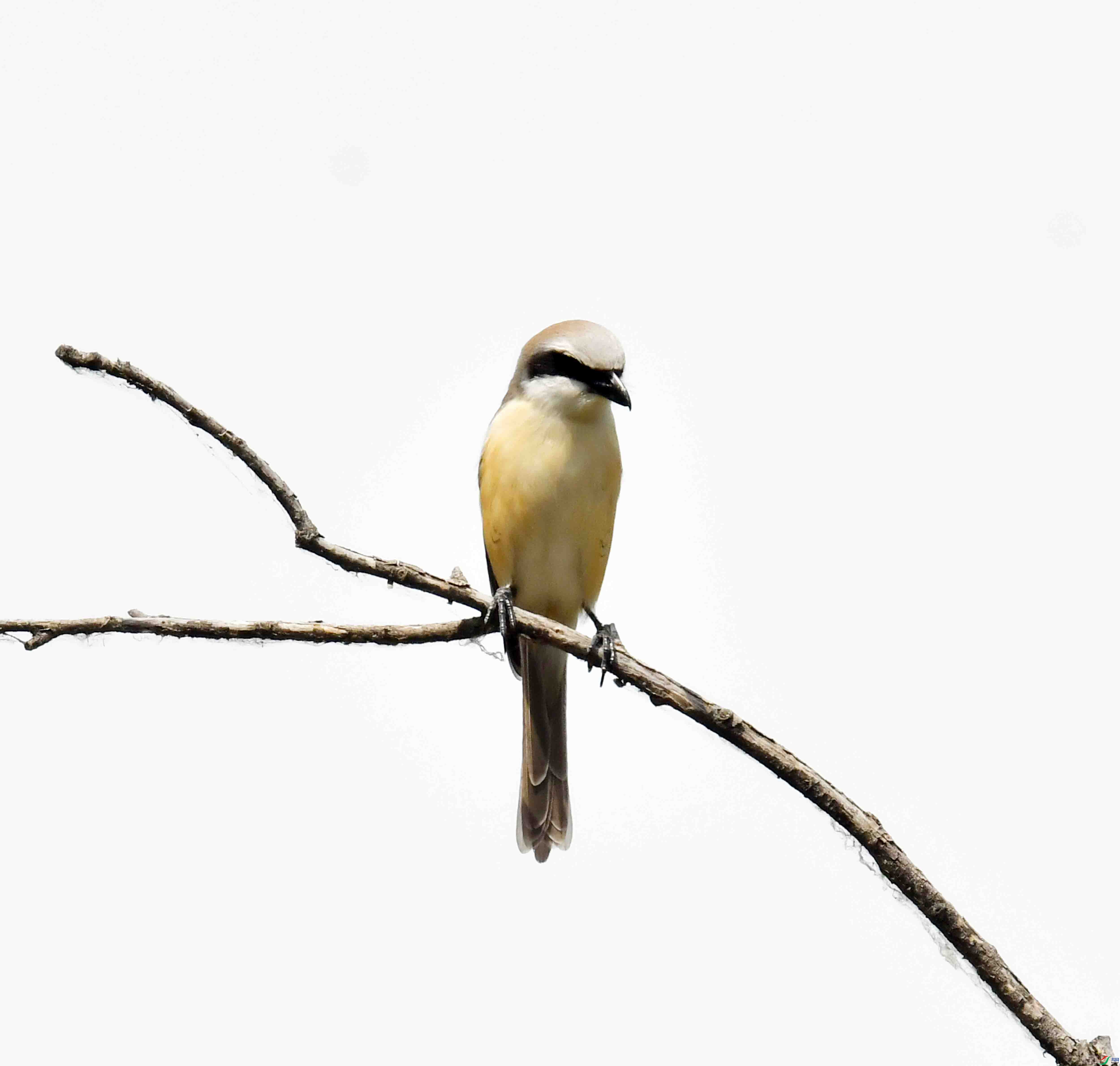 DSC_3762.JPG