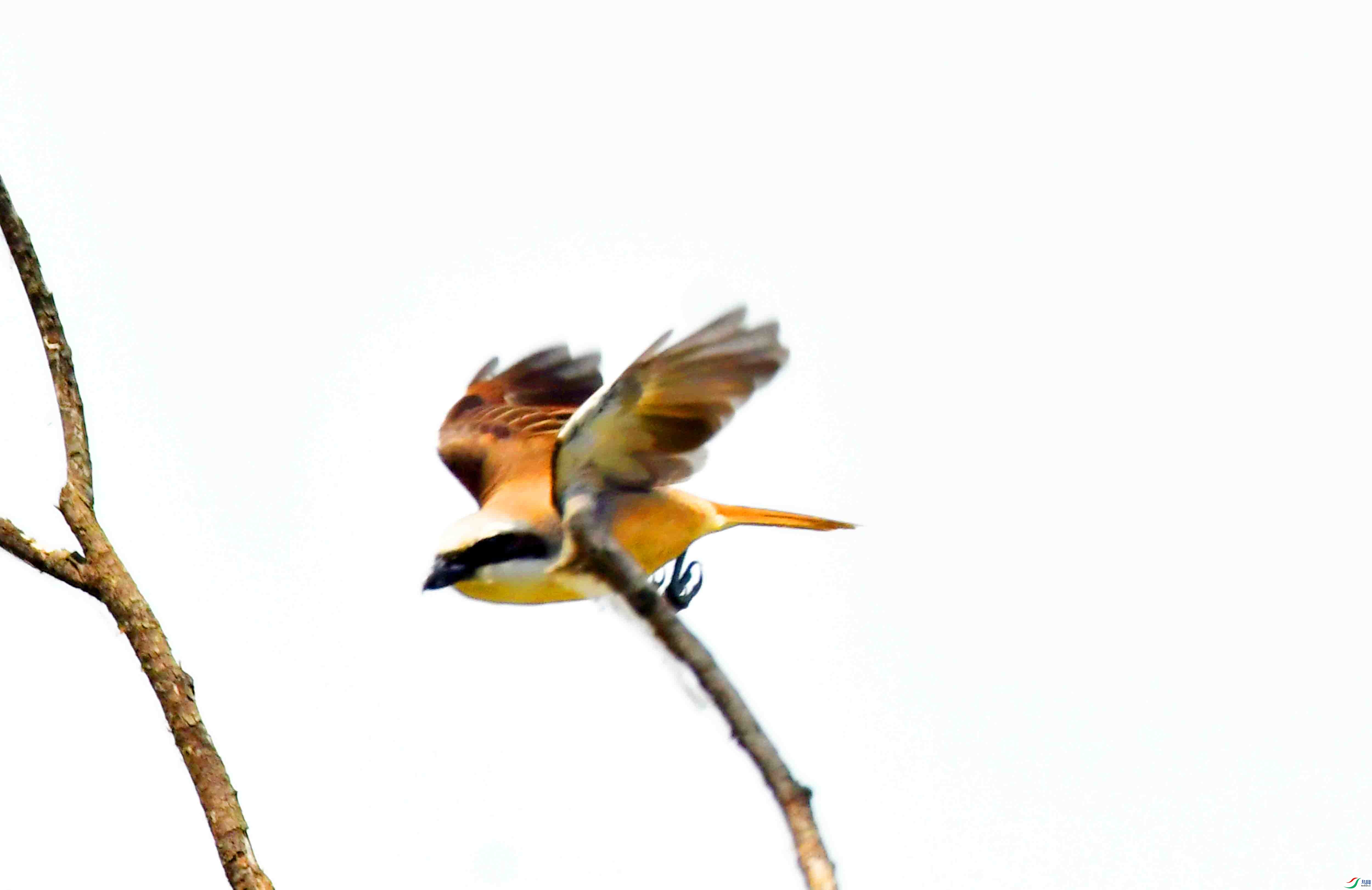 DSC_3764.JPG