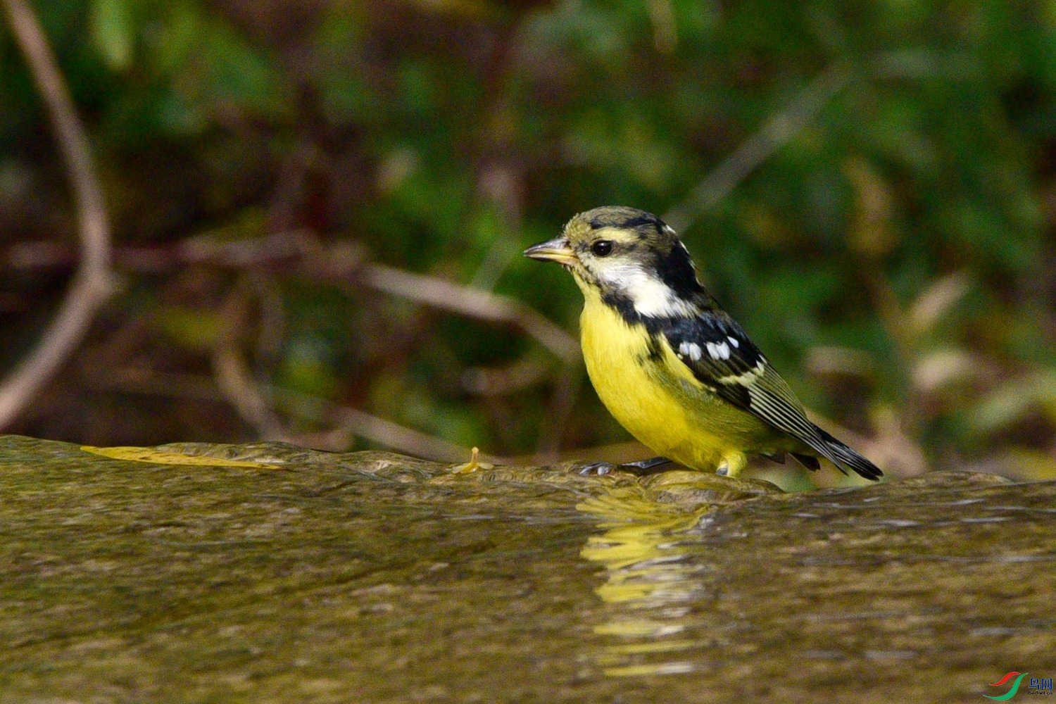 DSC_6376.JPG