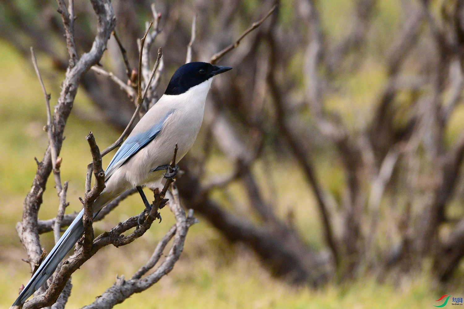 DSC_6674.JPG