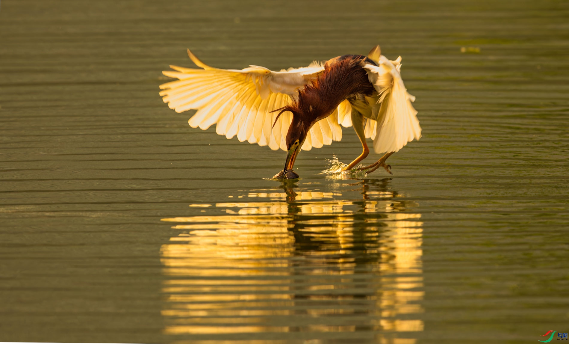 AR2I7271-CR2_DxO_DeepPRIMEXD-1.jpg