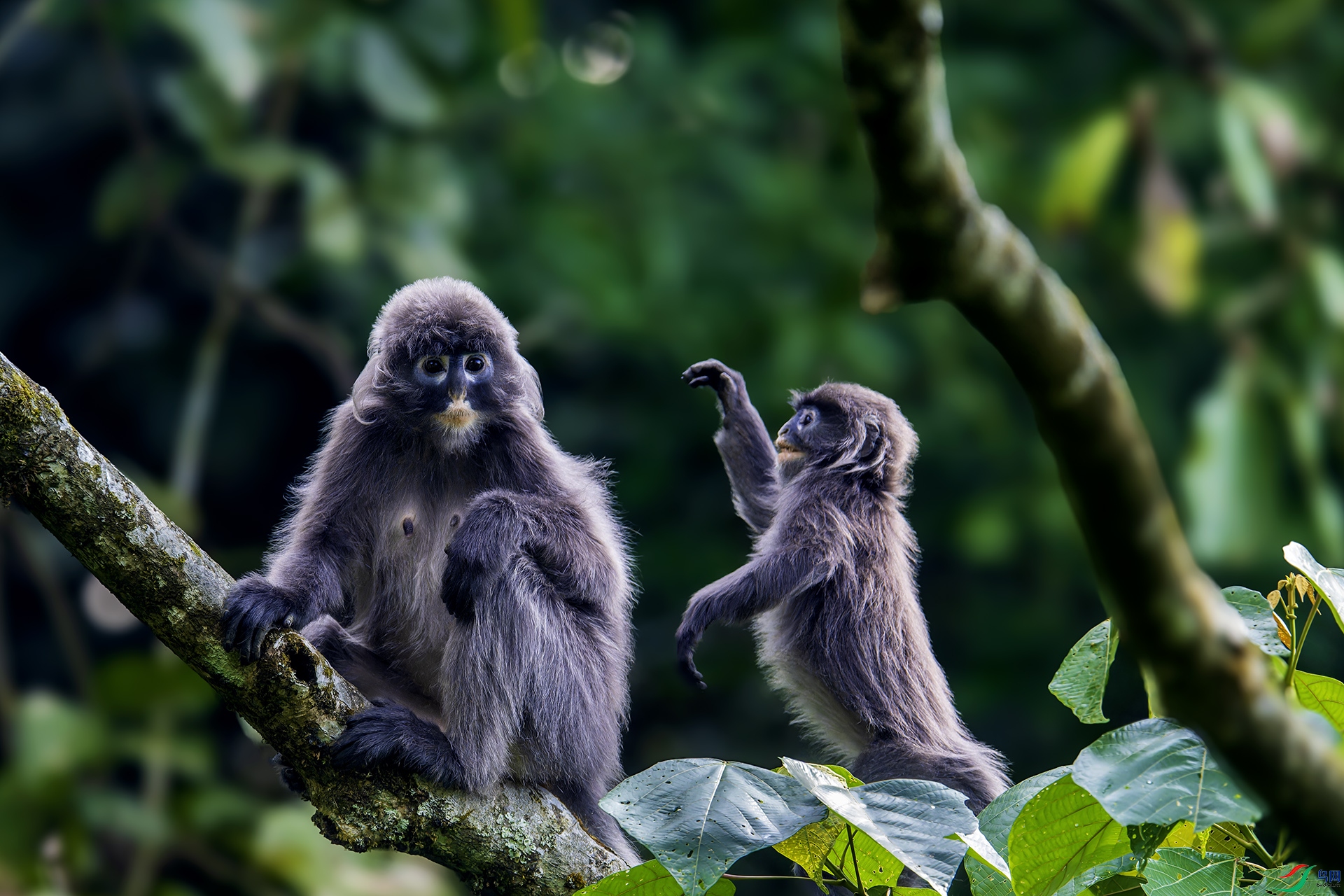 _DSC1819-NEF_DxO_DeepPRIMEXD ����.jpg