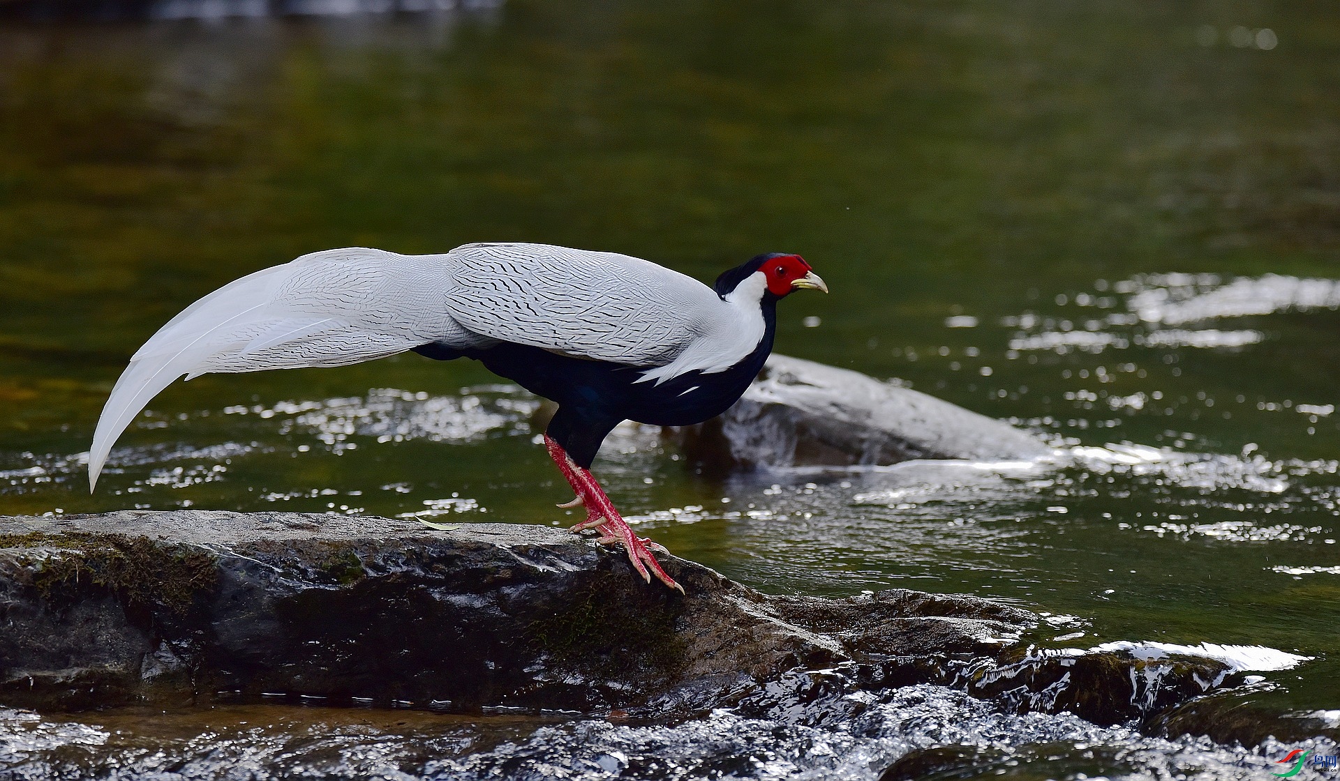 D8I_1365.jpg