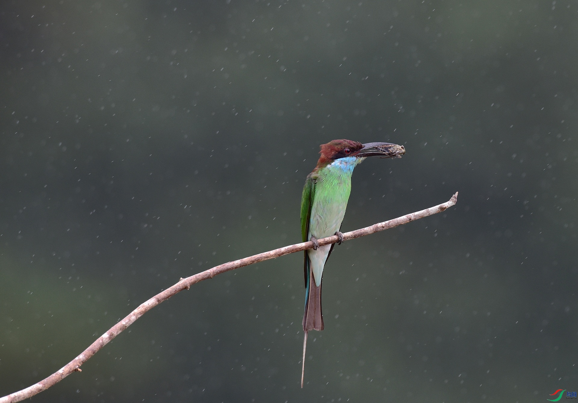 D8I_5093.jpg