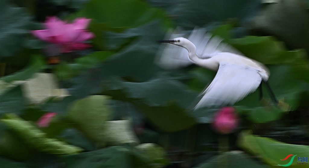 DSC_5491_����.jpg