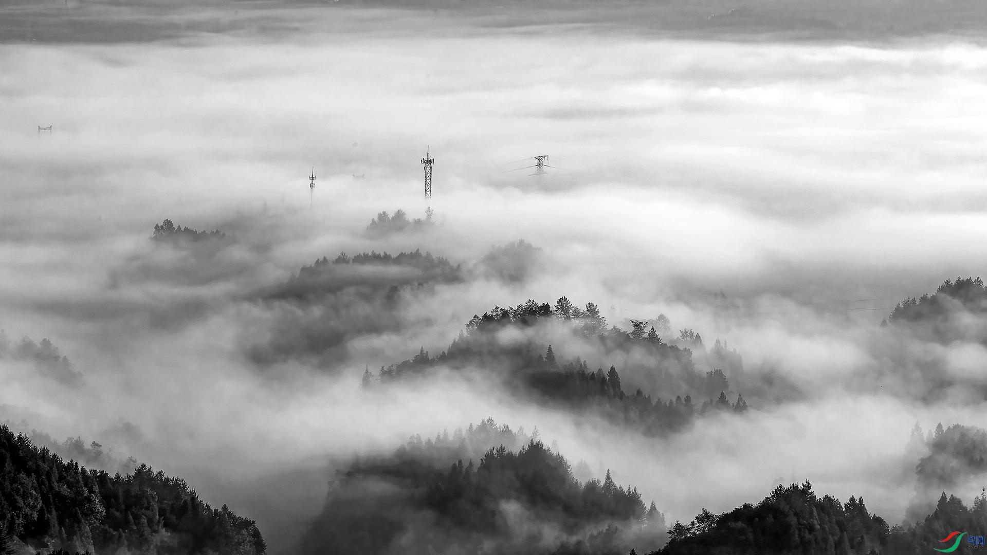3C8E7674-8.jpg