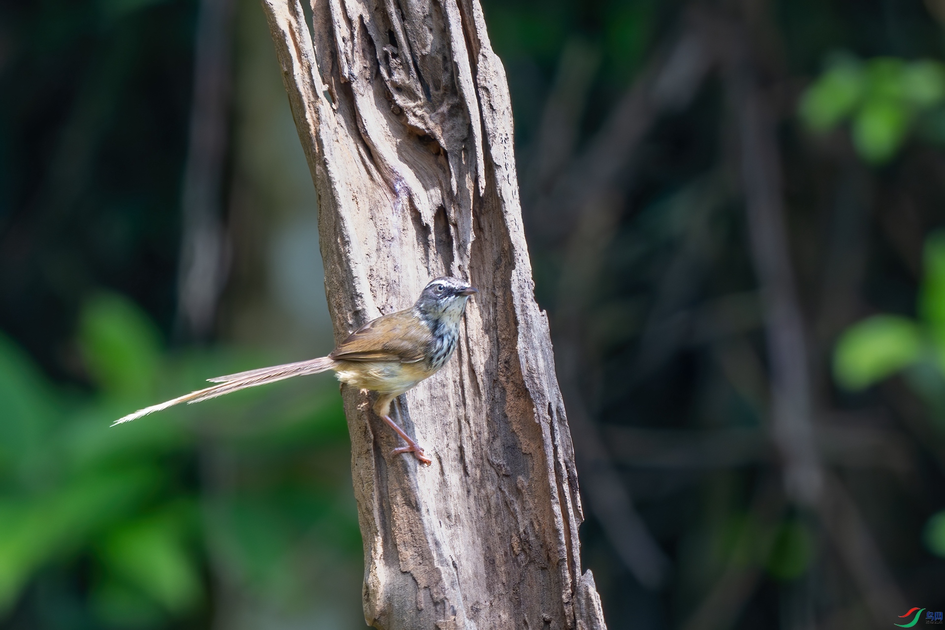 DSC_4876.jpg