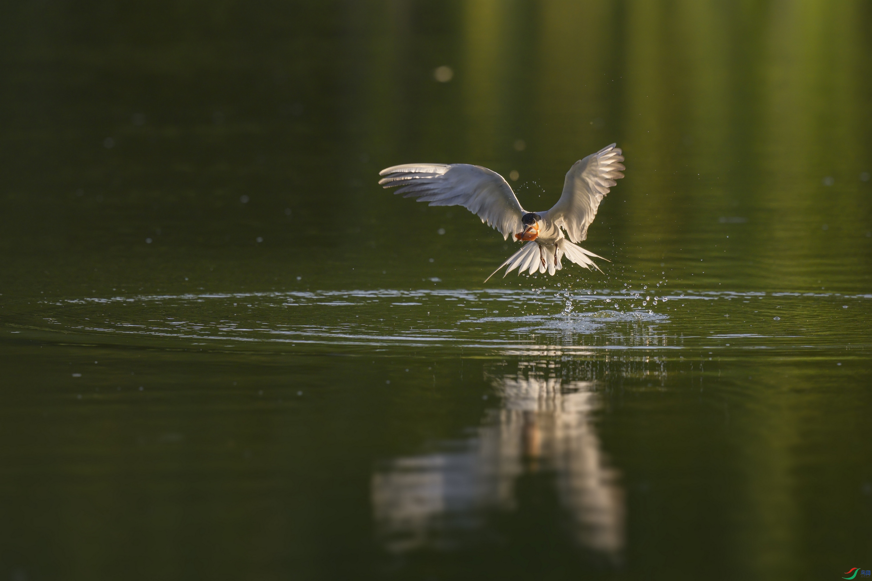 _DSC3879 ����F001.jpg