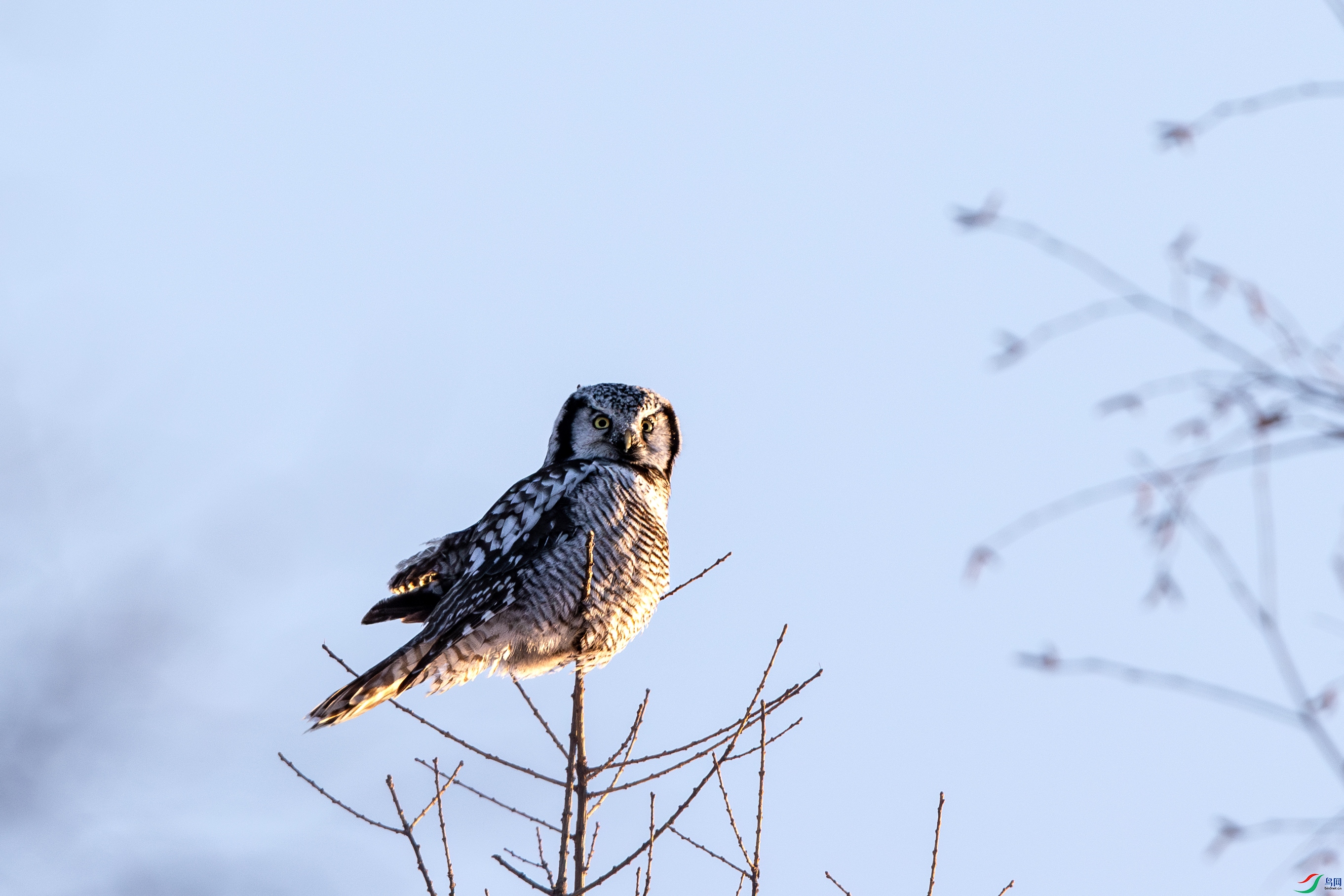 A15I6830R ����.jpg