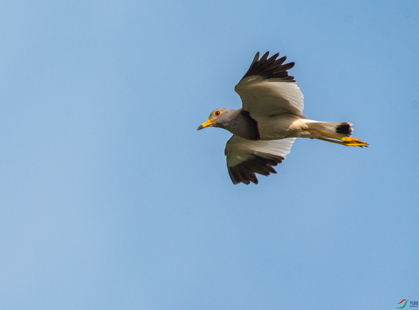 DSC_0251.jpg