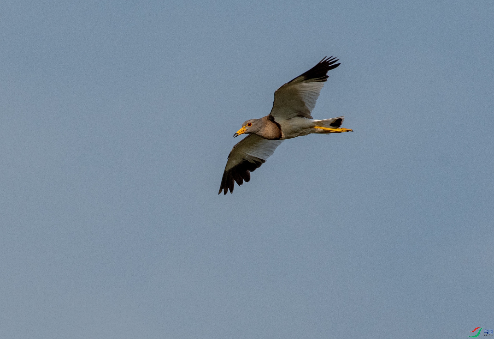 DSC_0338.jpg