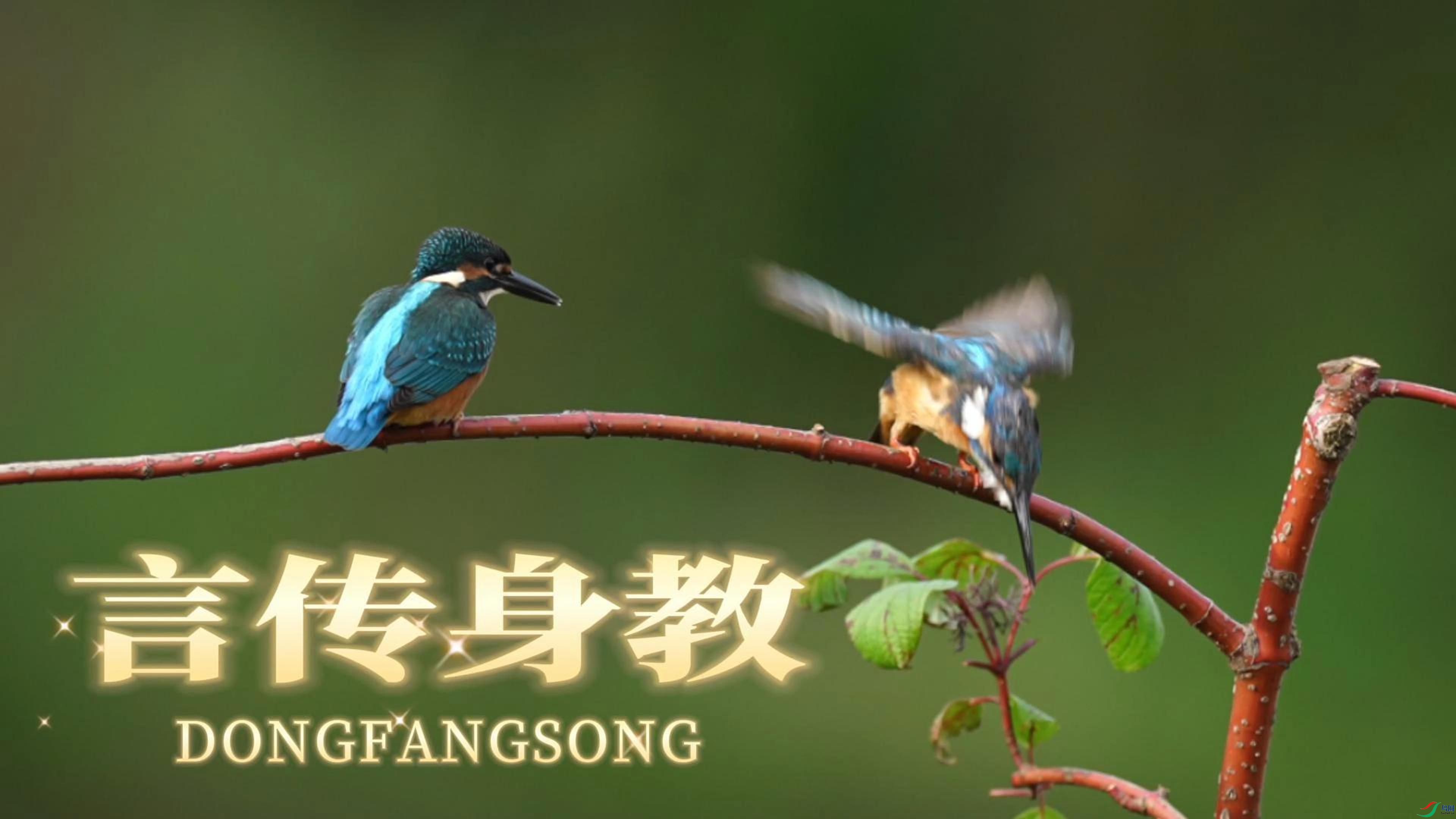 8��16�� (2)(3)-����.jpg